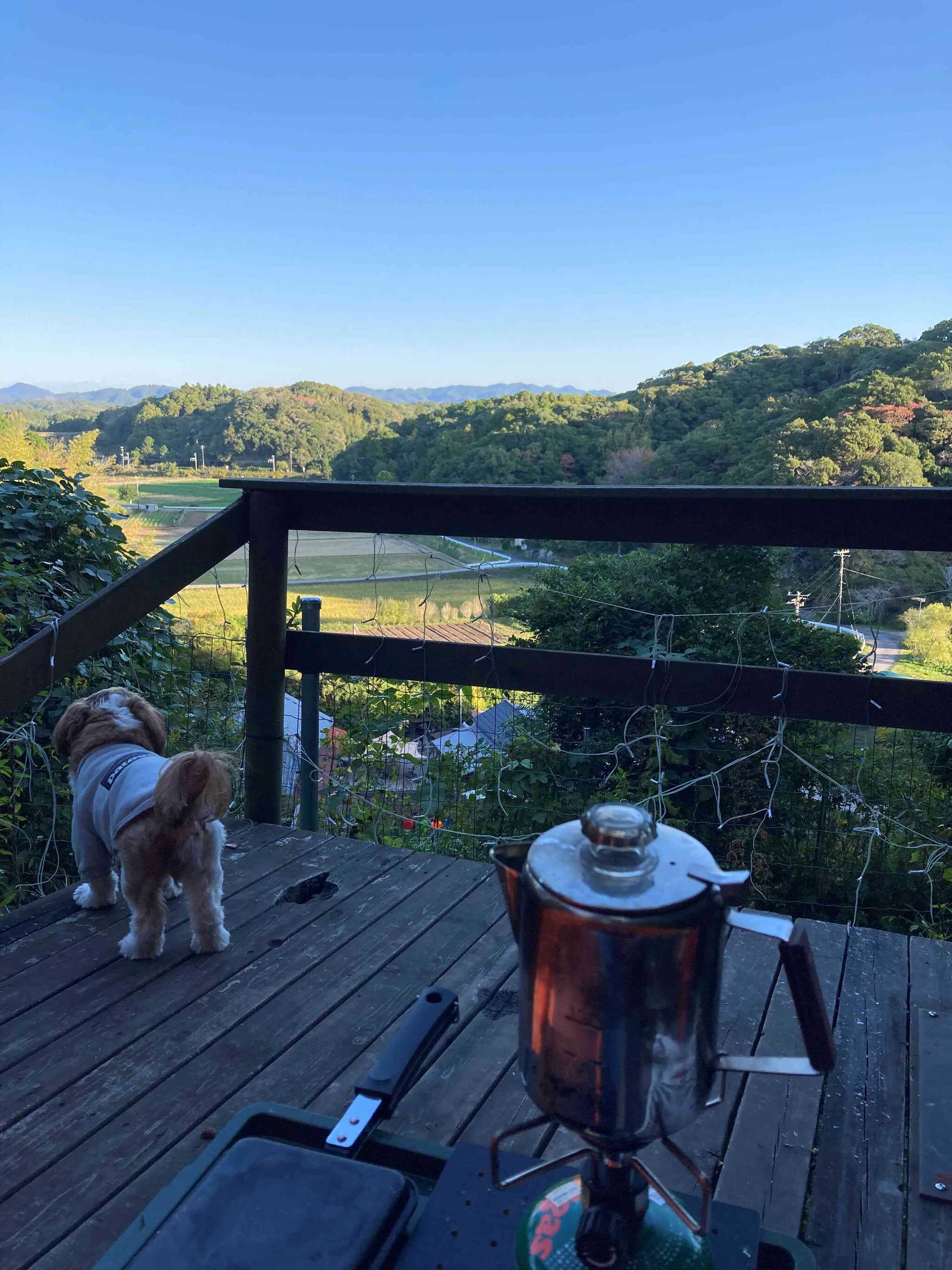 ウッドデッキからの景色