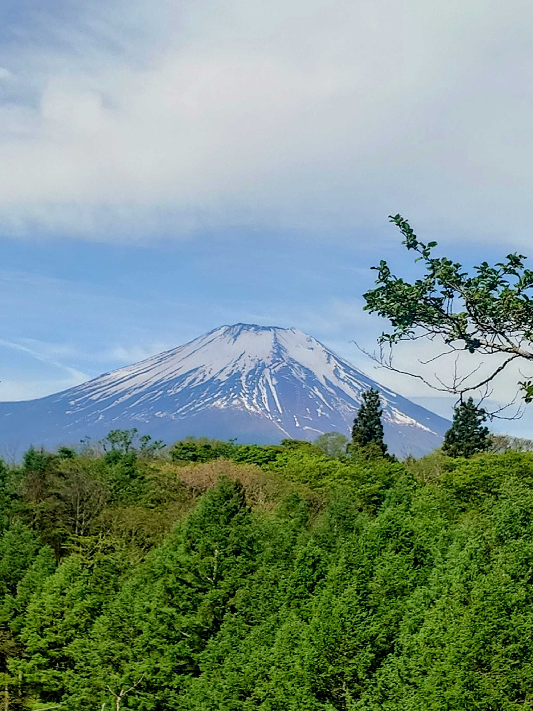 キャンプ場の丘からの富士山