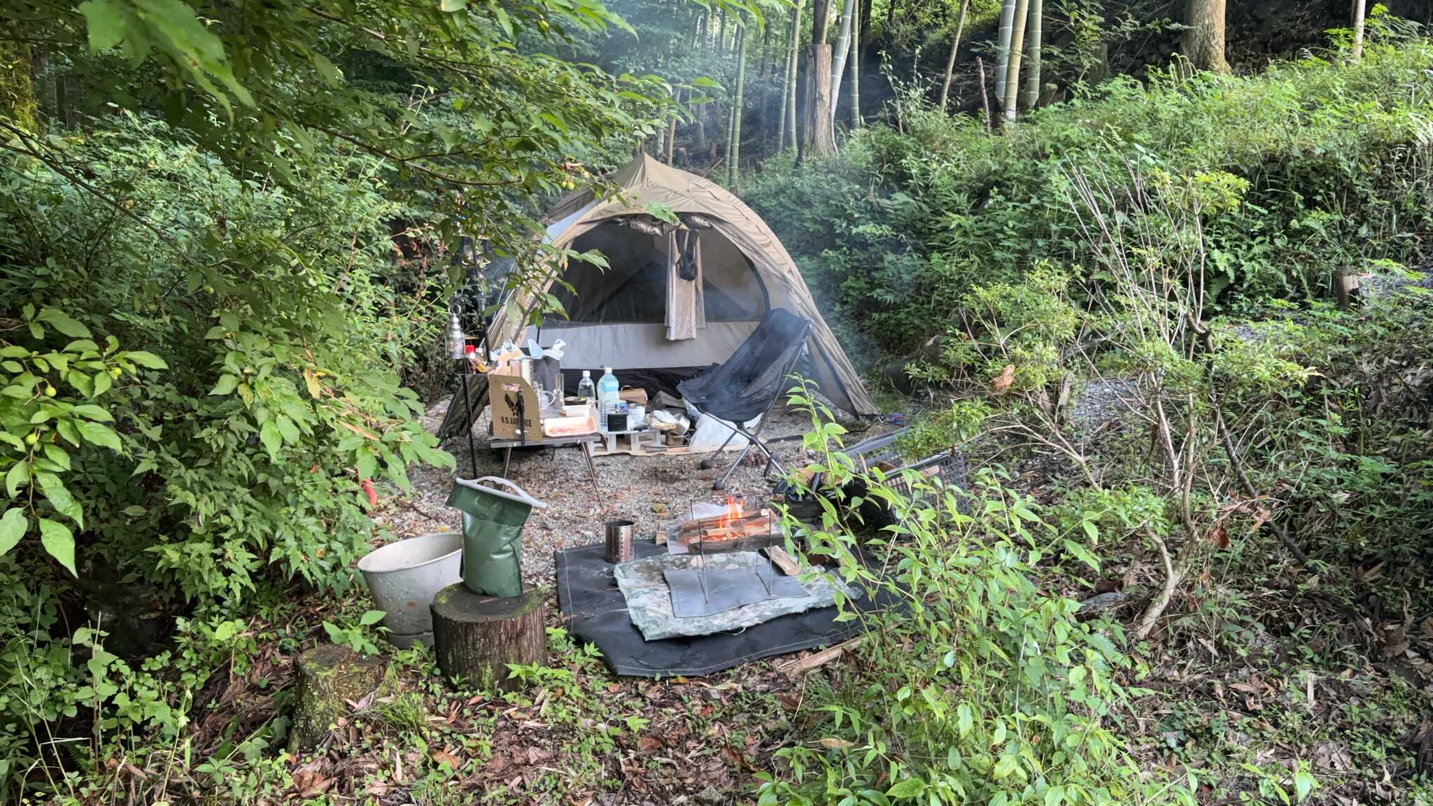 森の中