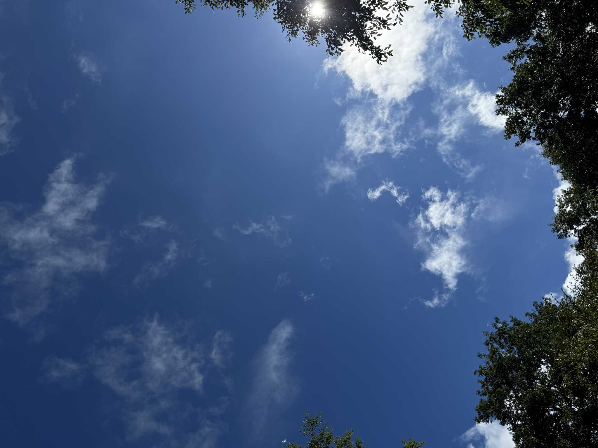 雨の中の一時の晴れ間