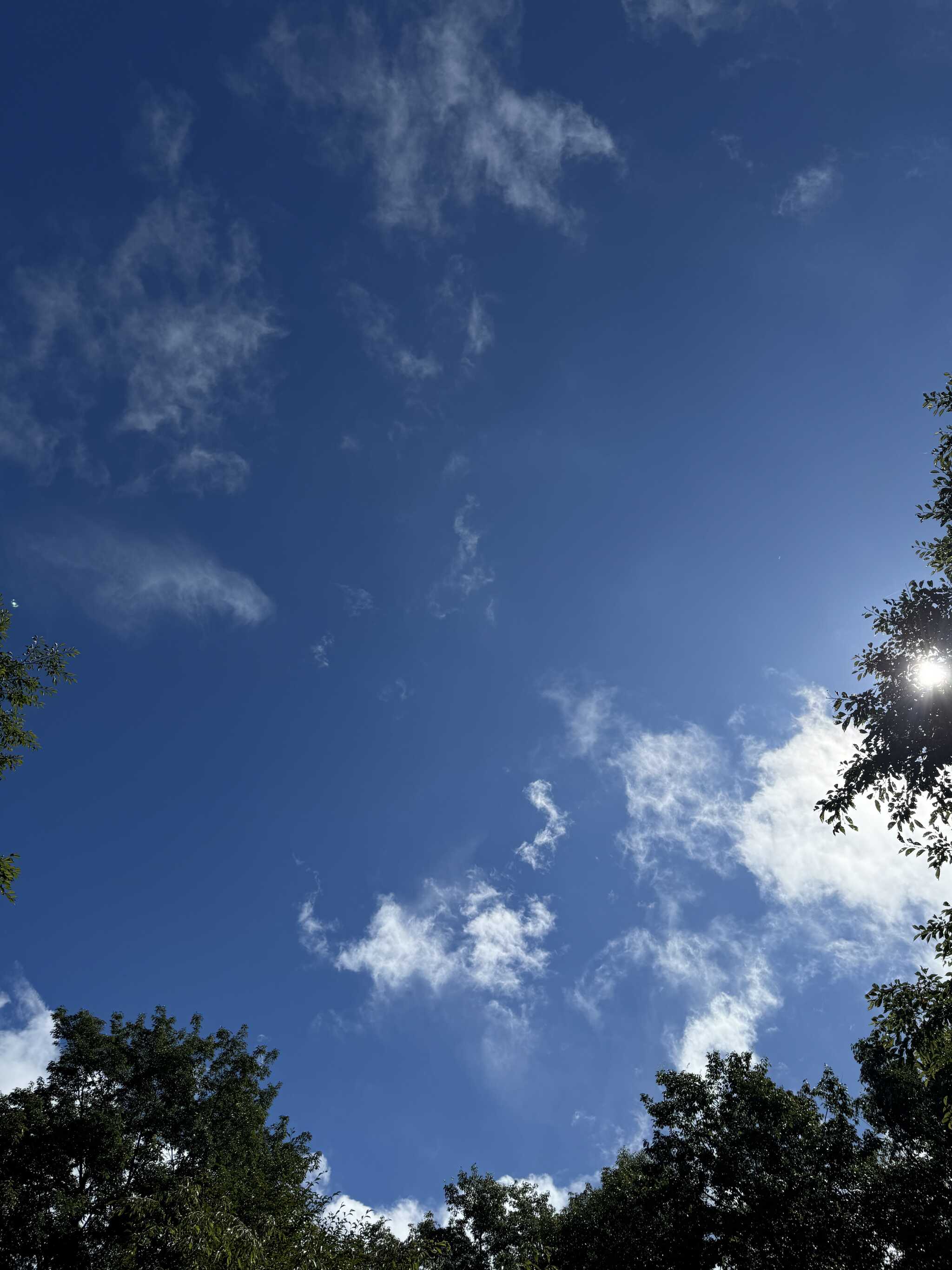 隙間から青空