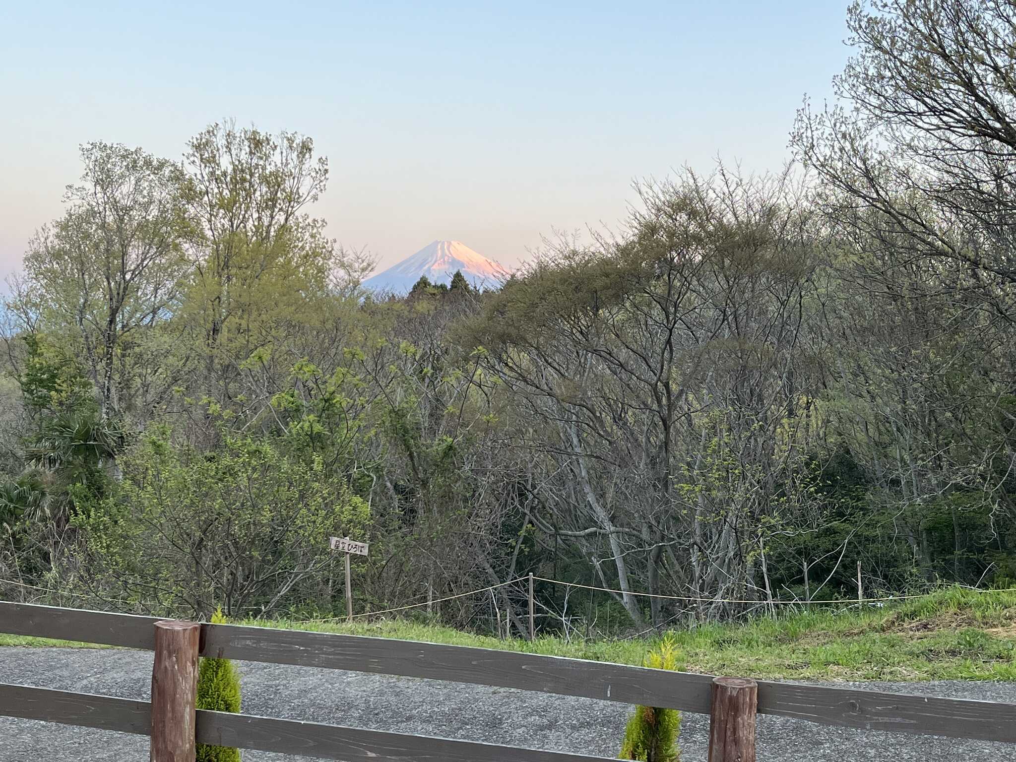 朝の富士山
