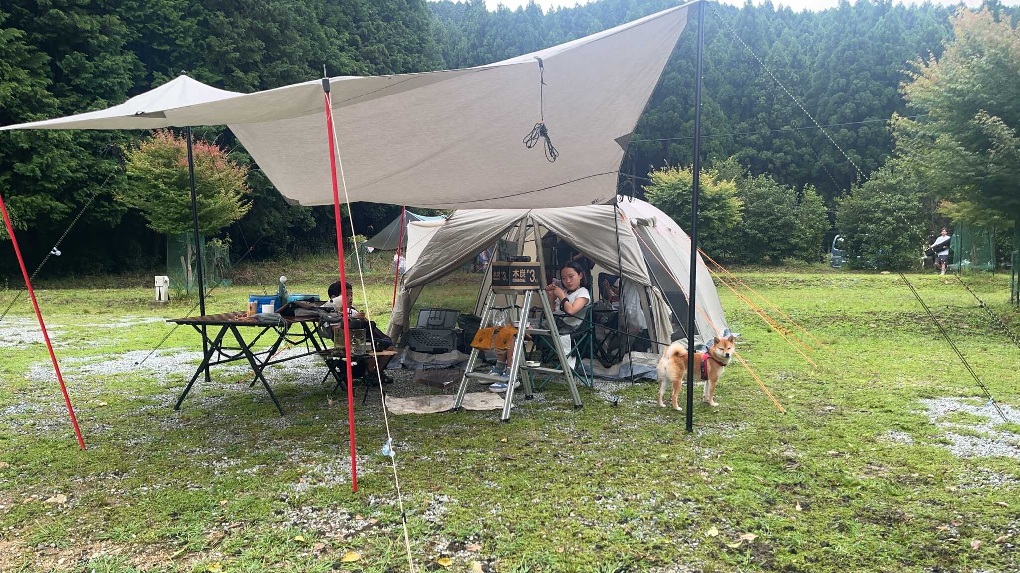サイト写真
