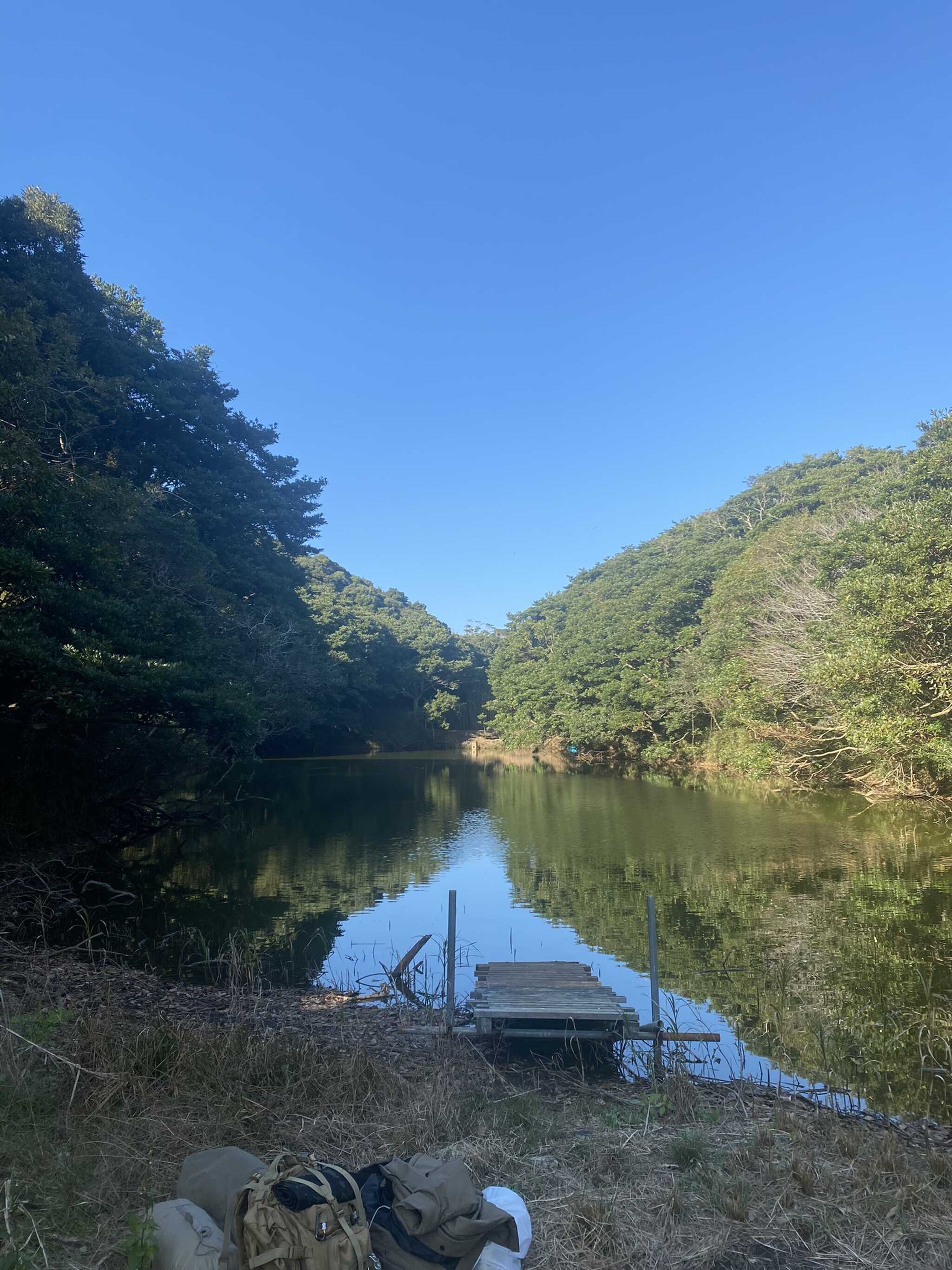 池周辺