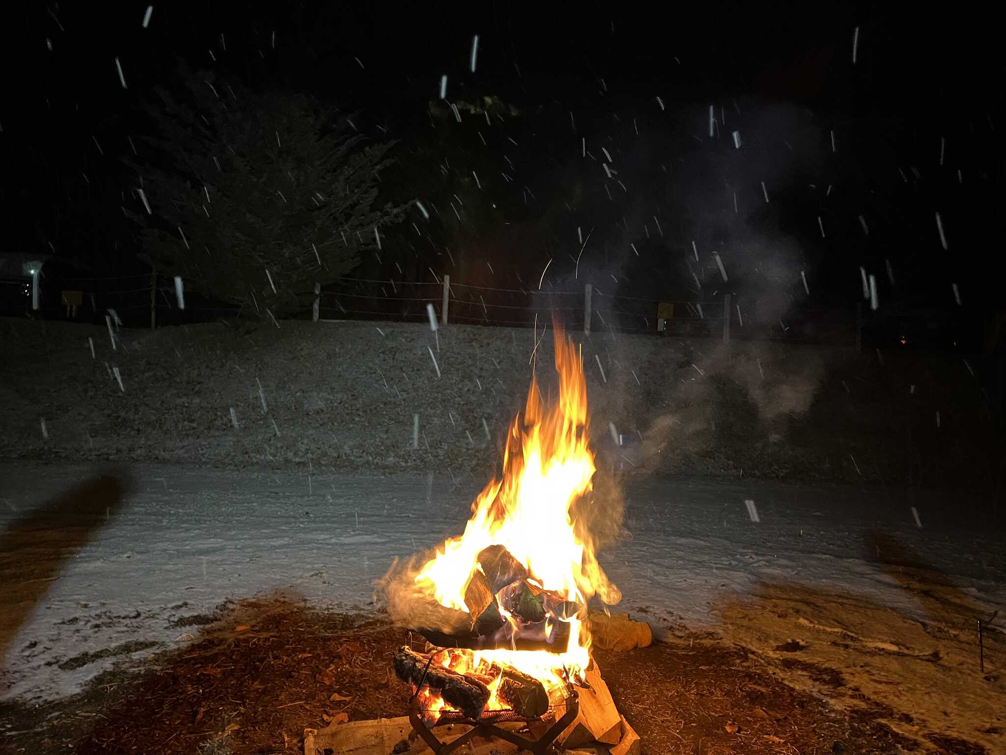雪が降ってきました