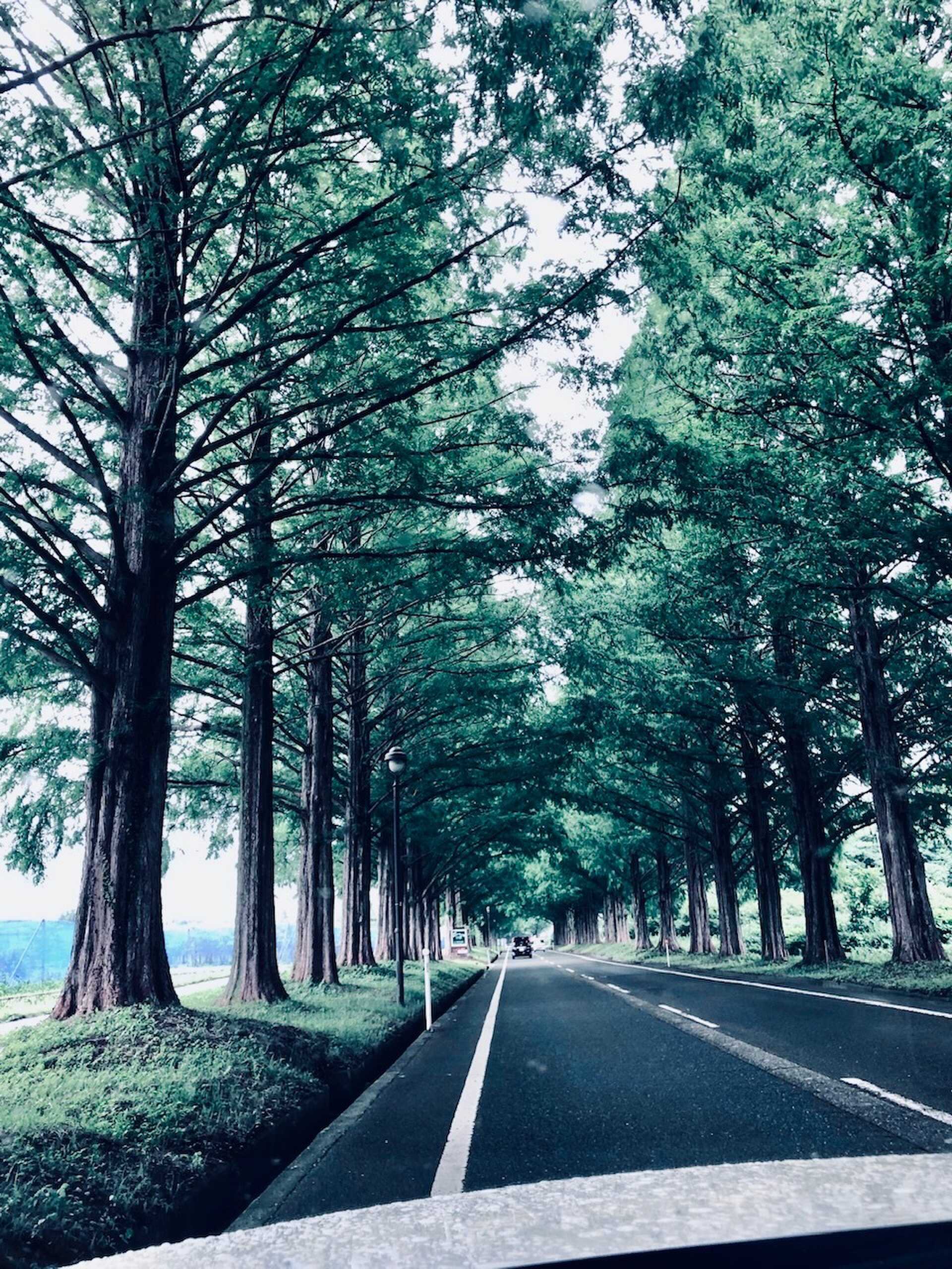 WASUKI BASE びわ湖 VILLA STYLEの口コミ投稿写真