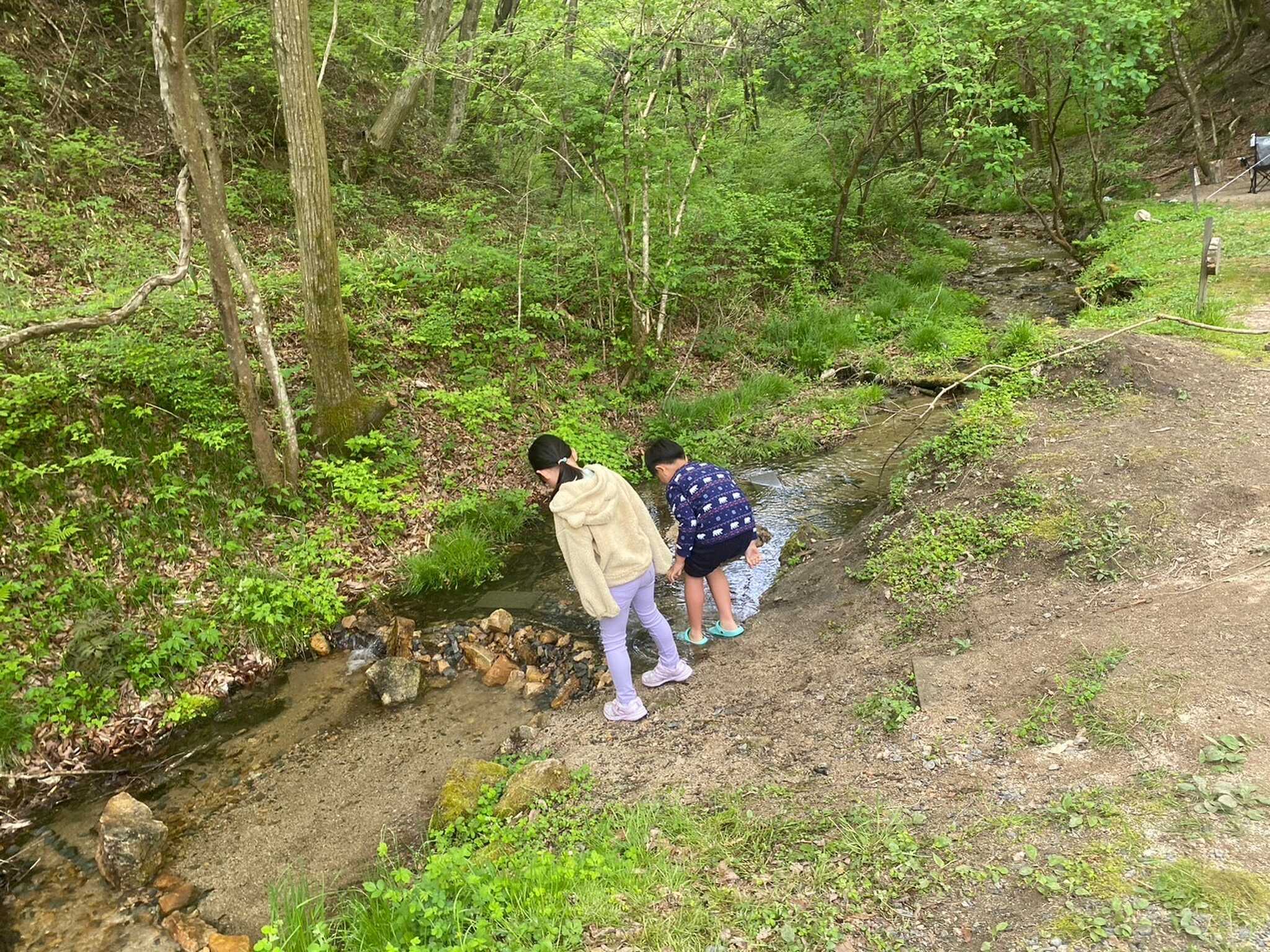 川沿いの様子