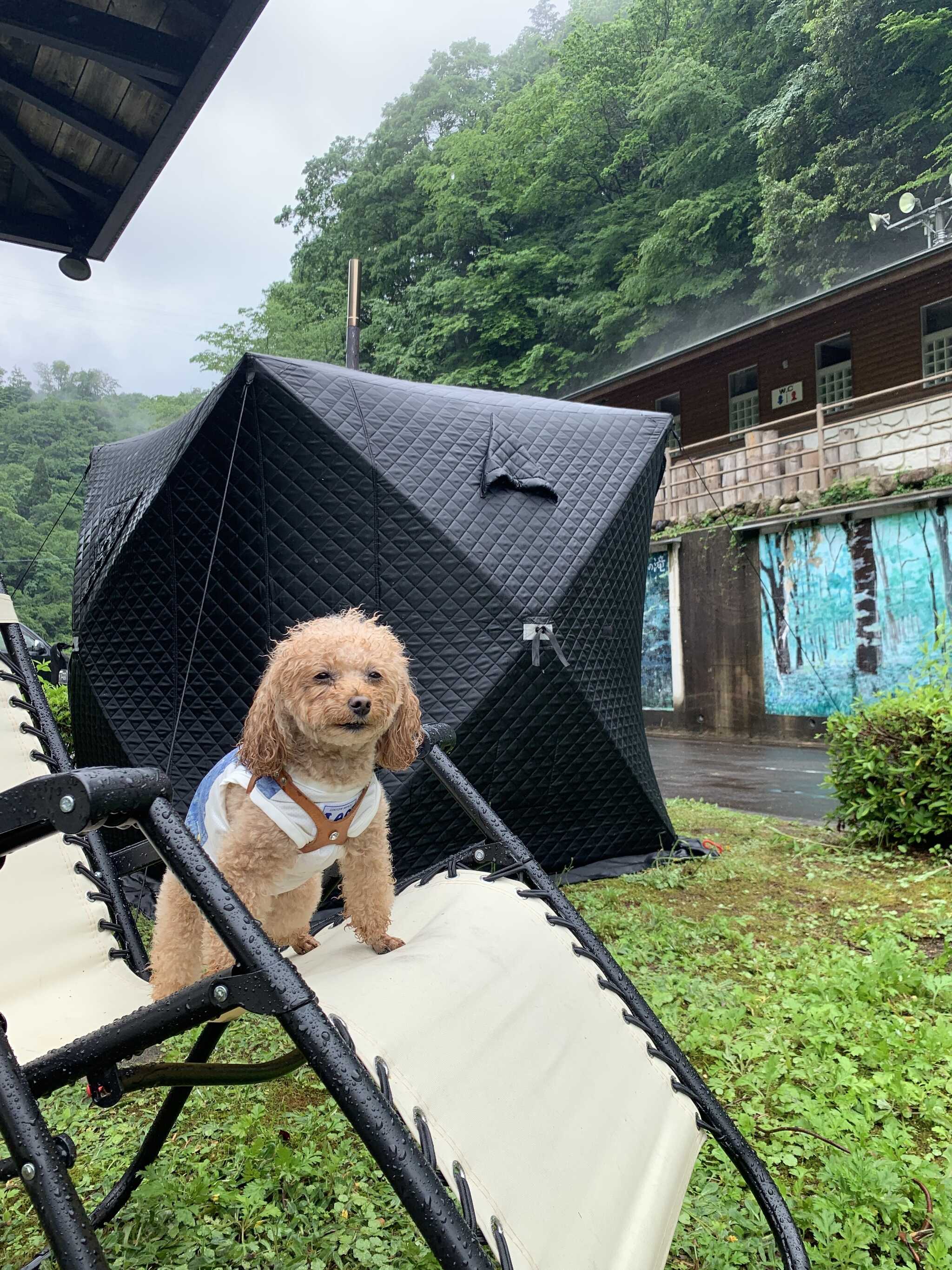テントサウナが楽しめるキャンプ場