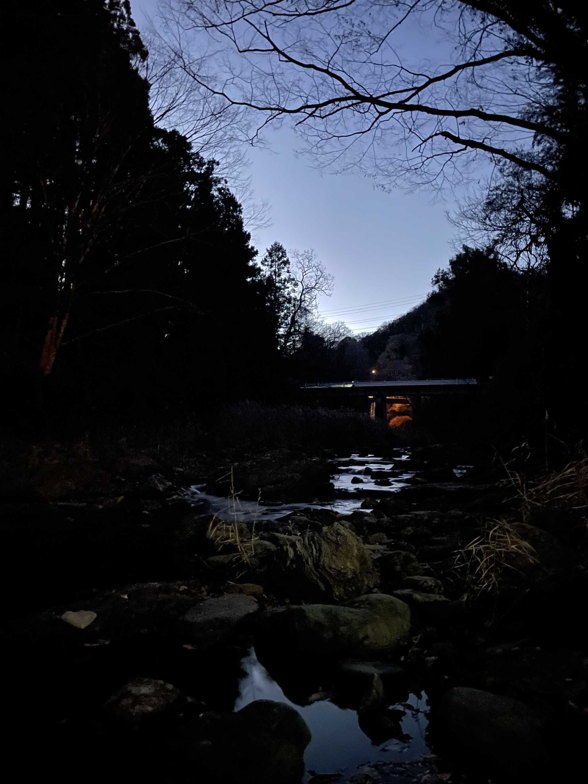 鮎川(夜)