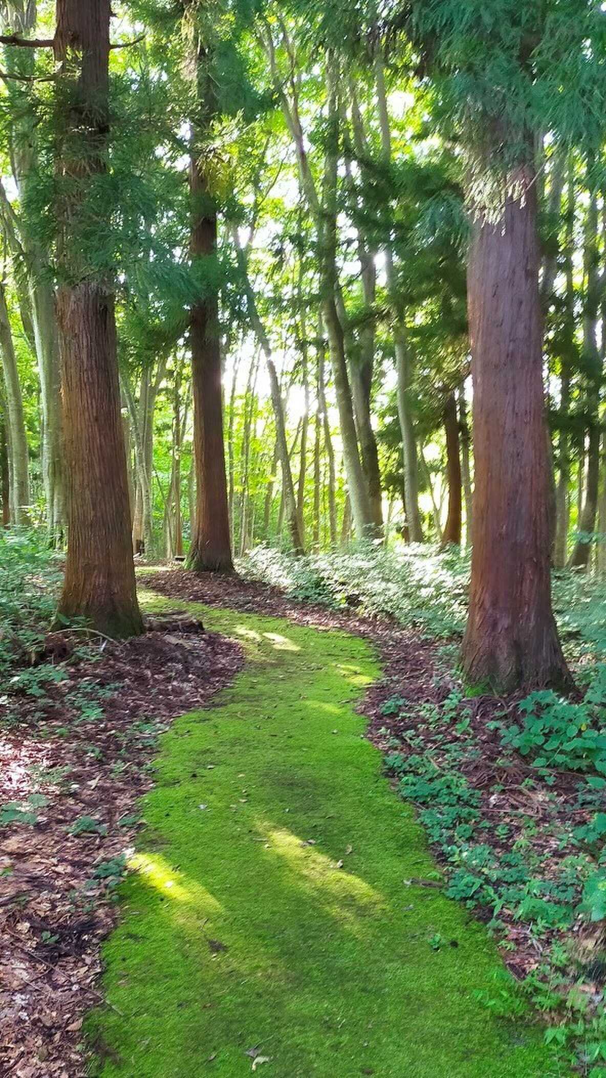 遊歩道