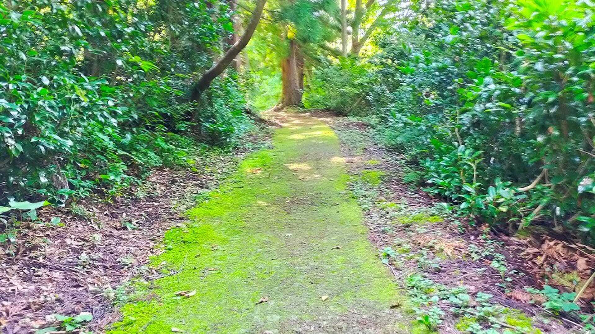 遊歩道