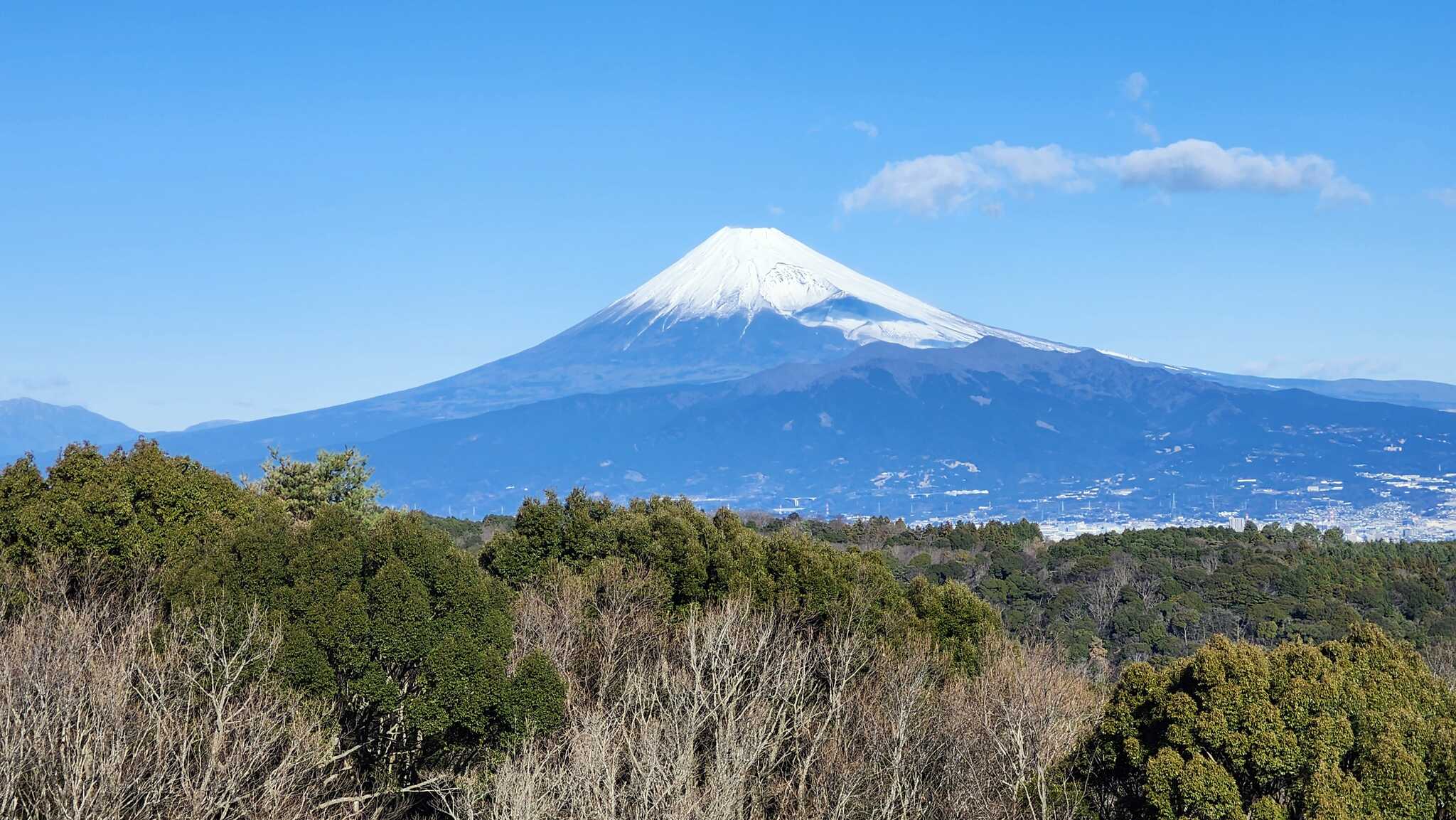 施設からの景色