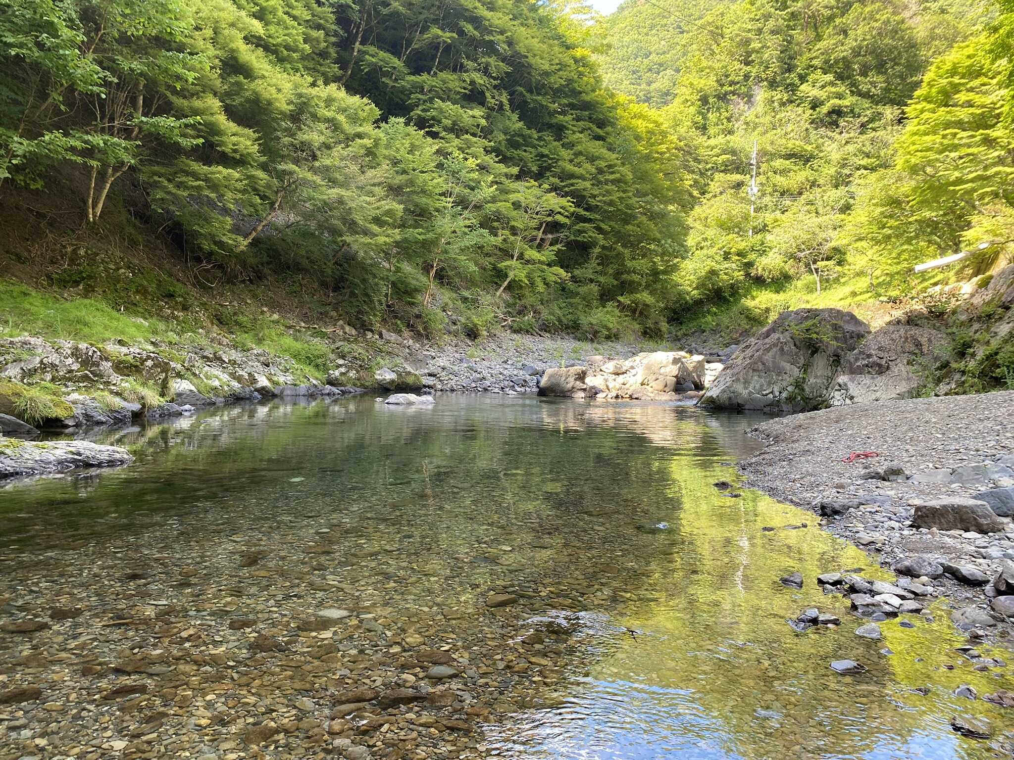 サイト直ぐ下の河原