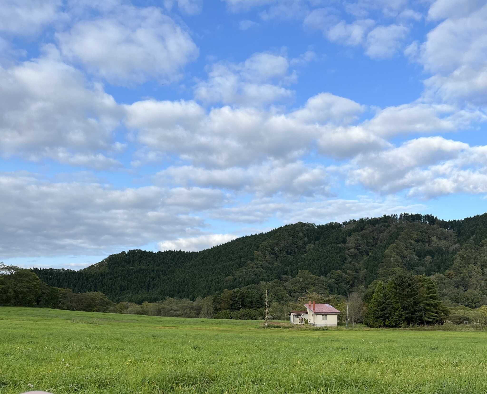 サウナ整い風景
