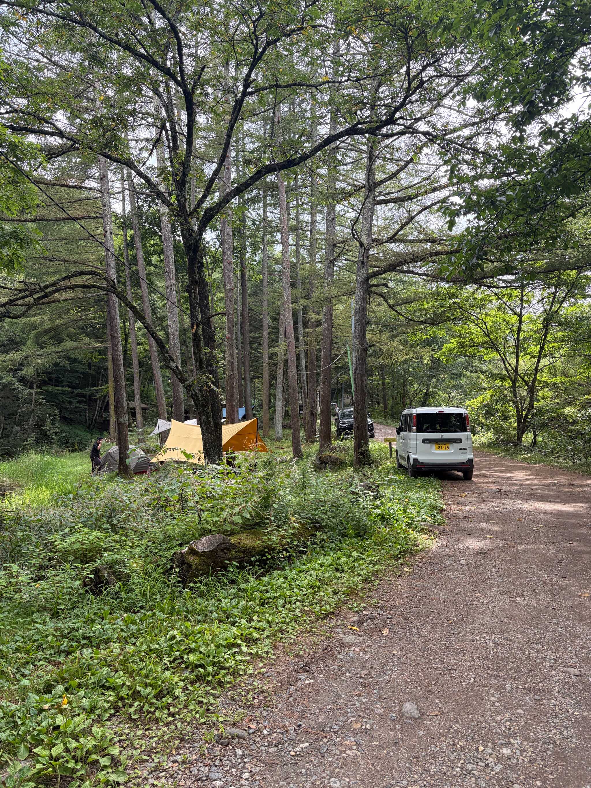 管理棟側から。左手に沼、奥に向かって段差あり。