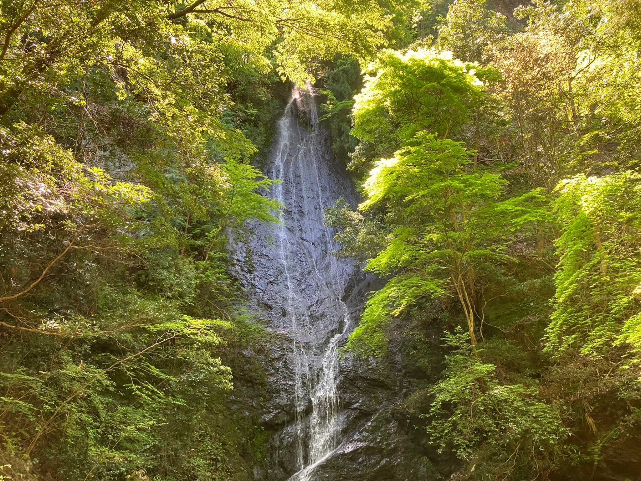 琴滝