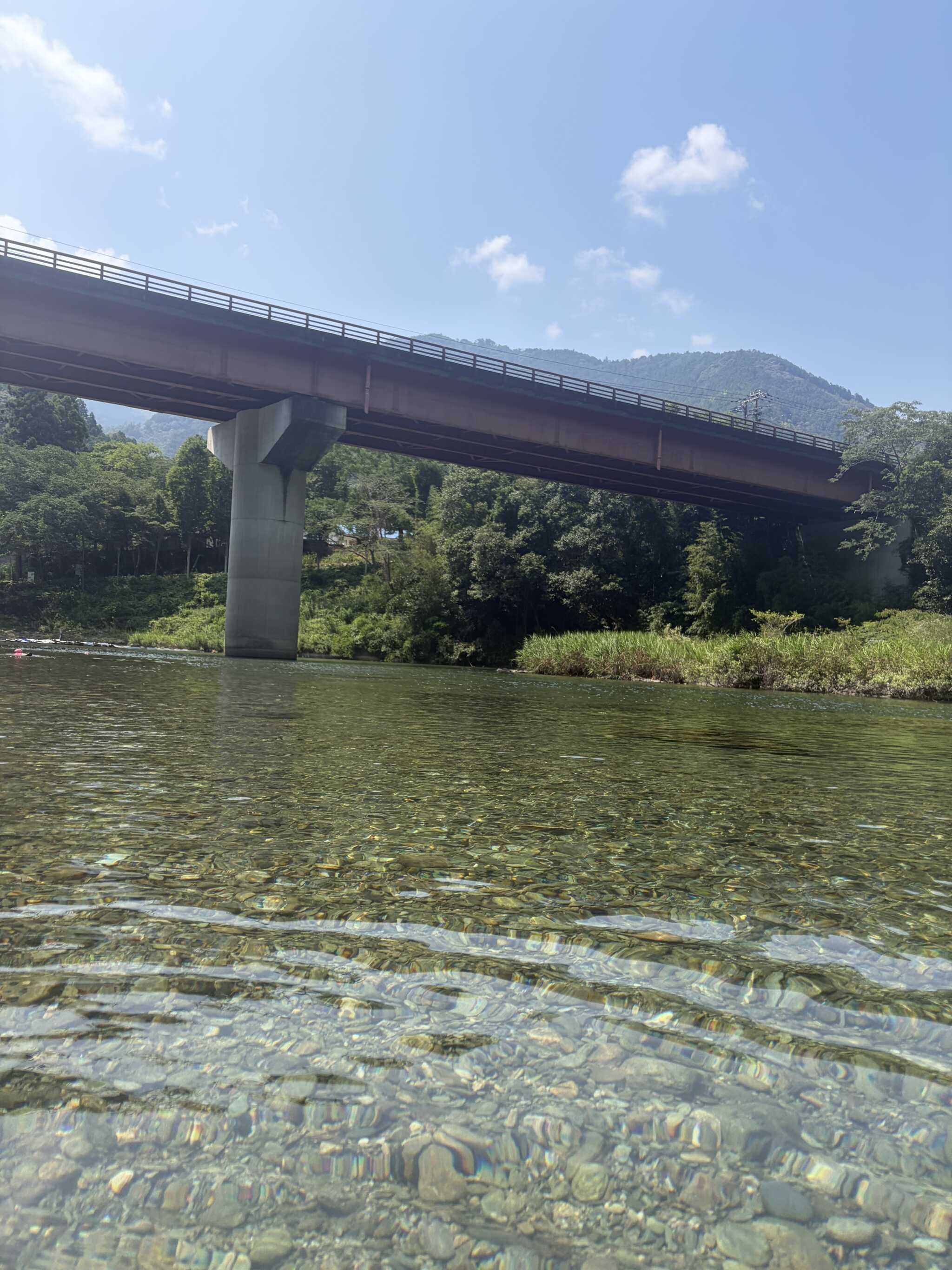 管理棟奥、流れの少ない方の川。