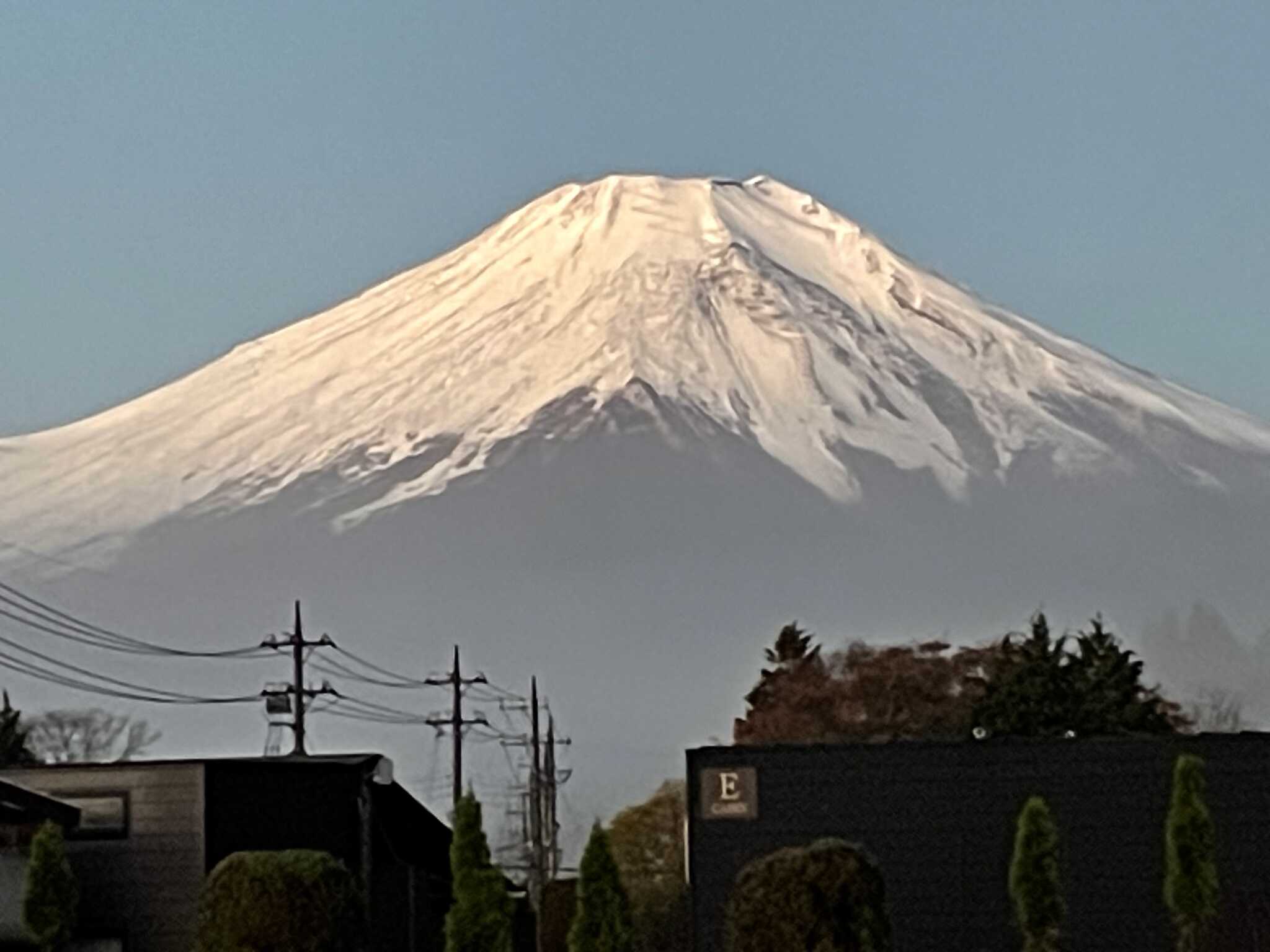 サイトから