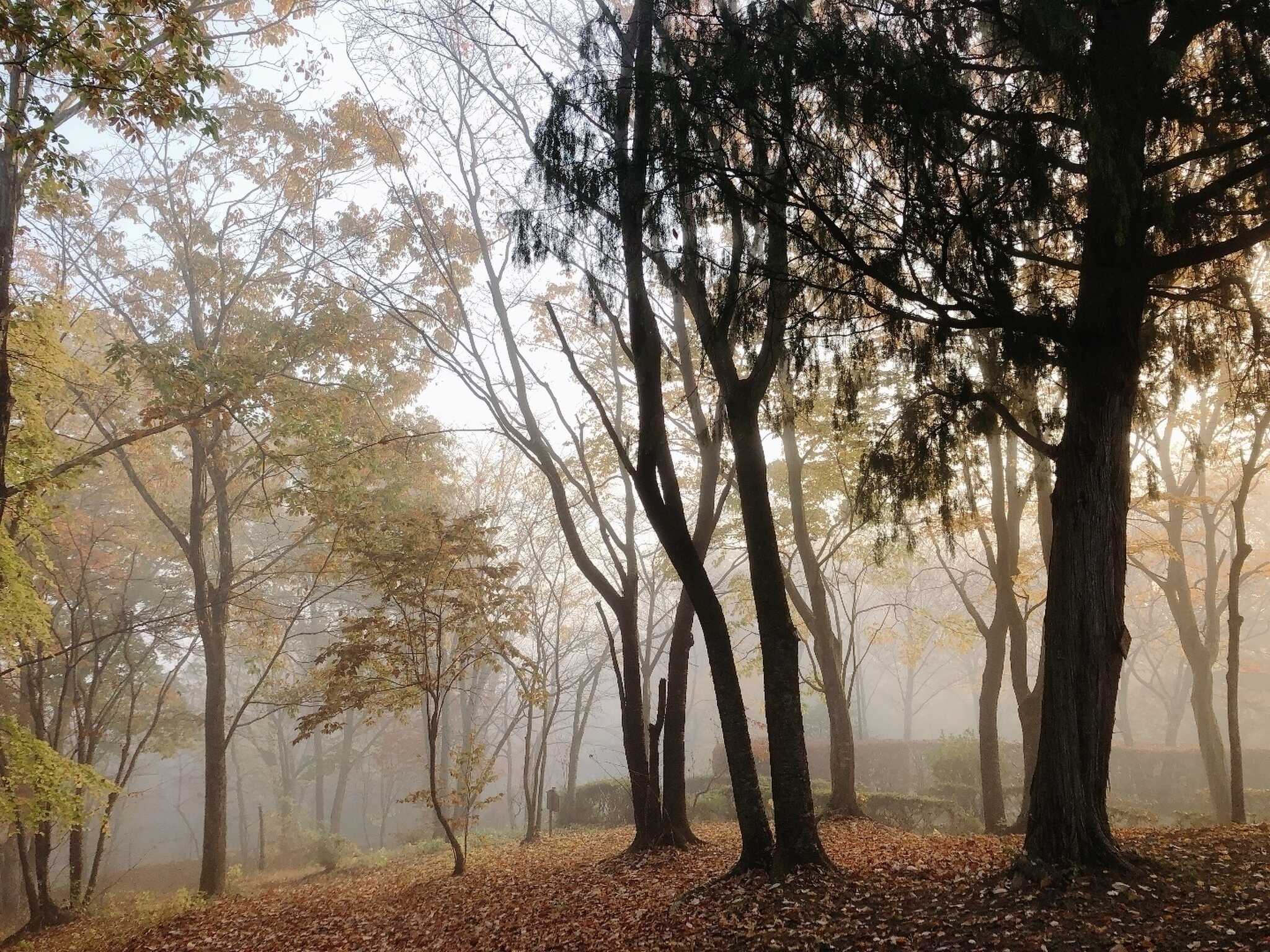静かで紅葉も始まっていました。