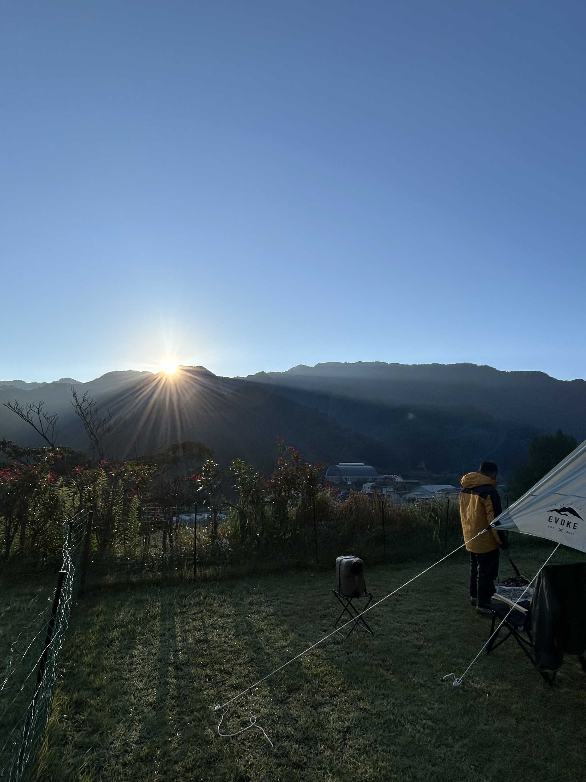 朝