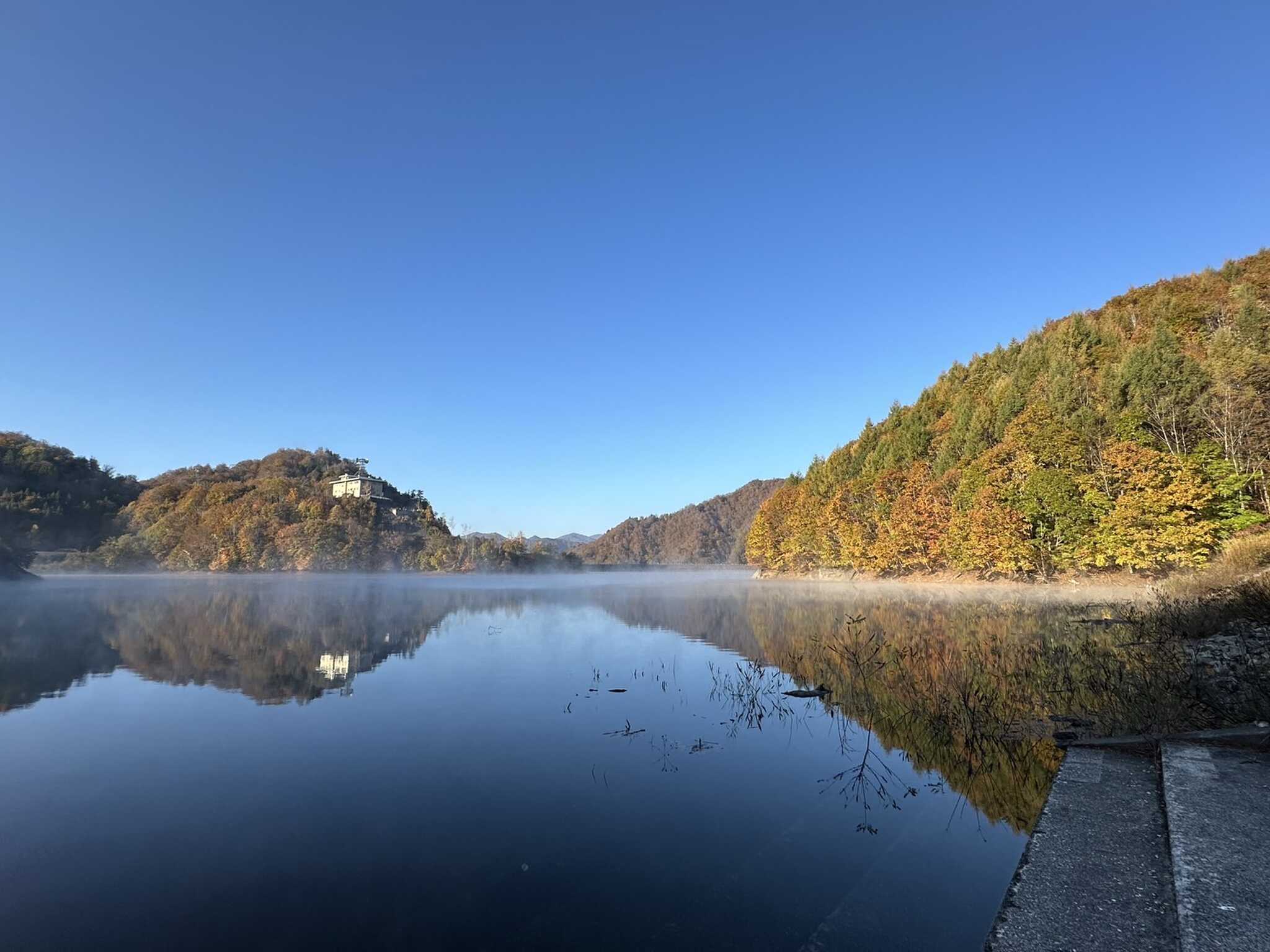 朝日に照らされた紅葉がキレイです