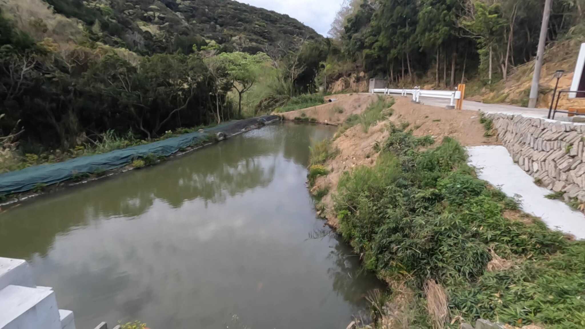 鯉の池