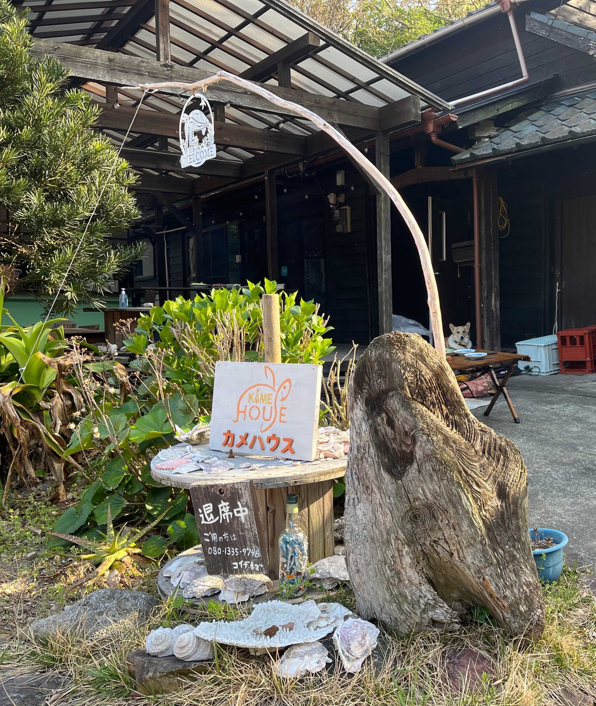 カメハウスの入り口