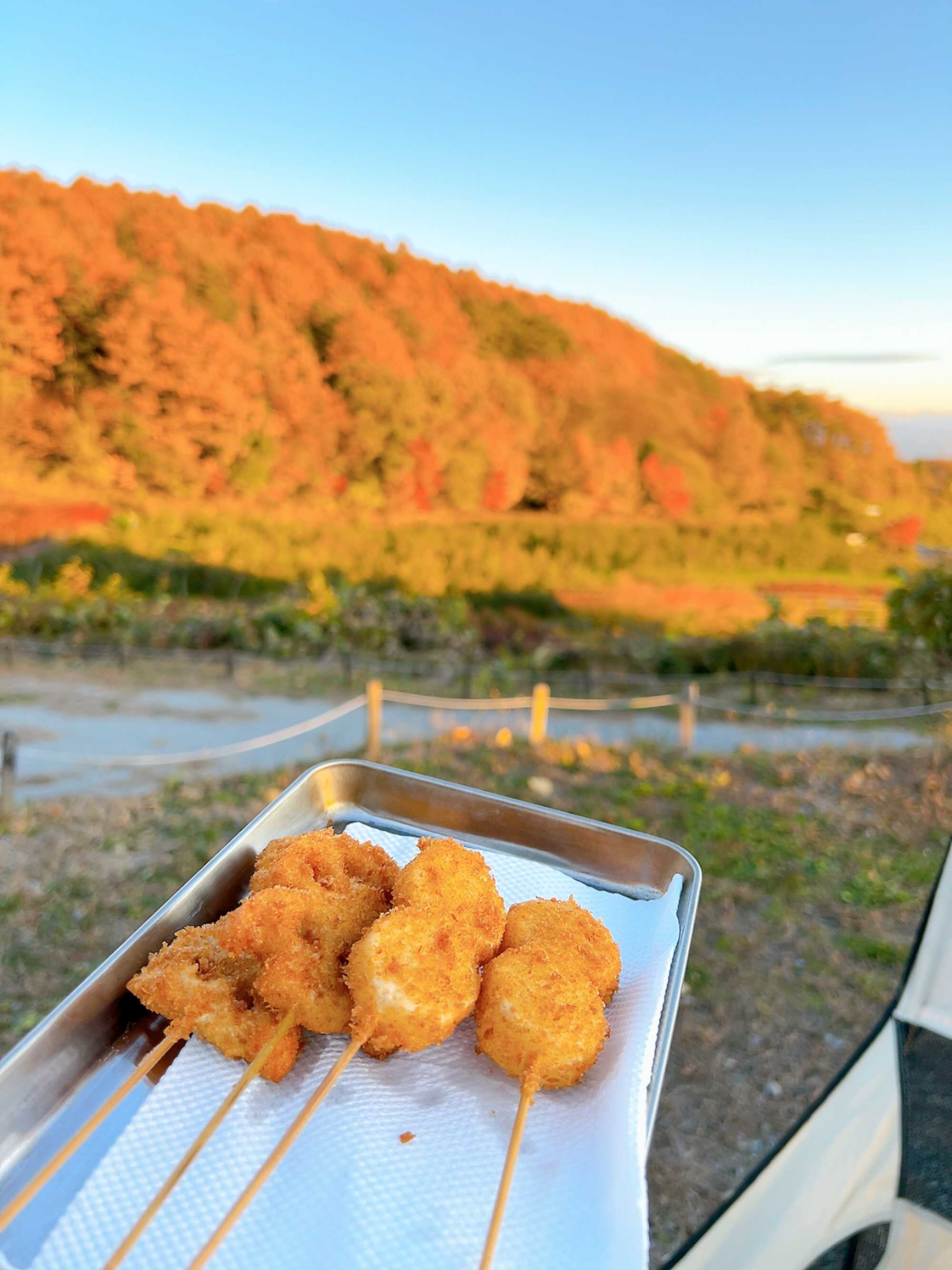 紅葉と串揚げ!