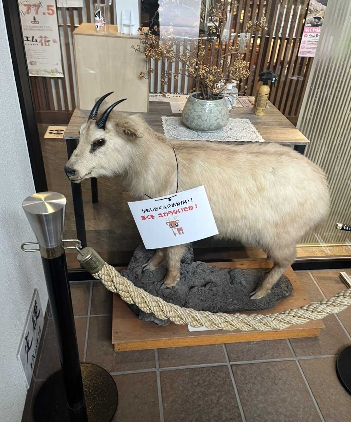 受付