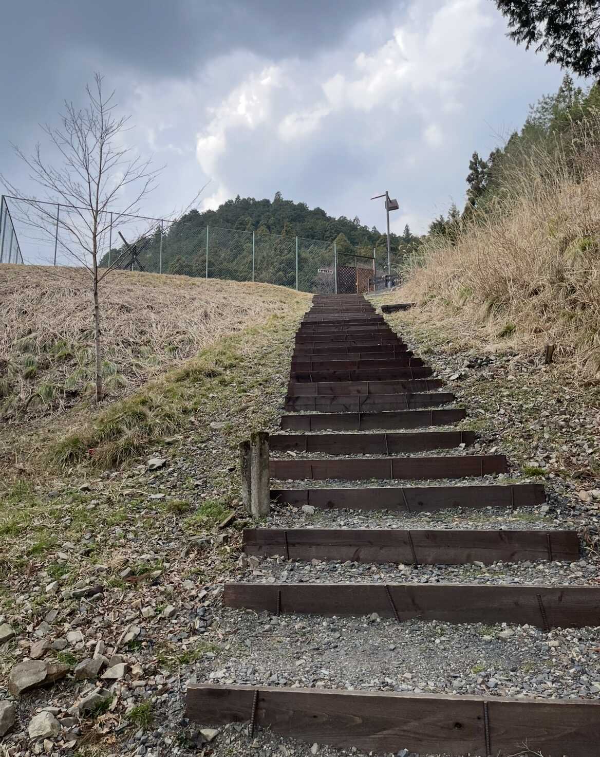 場内