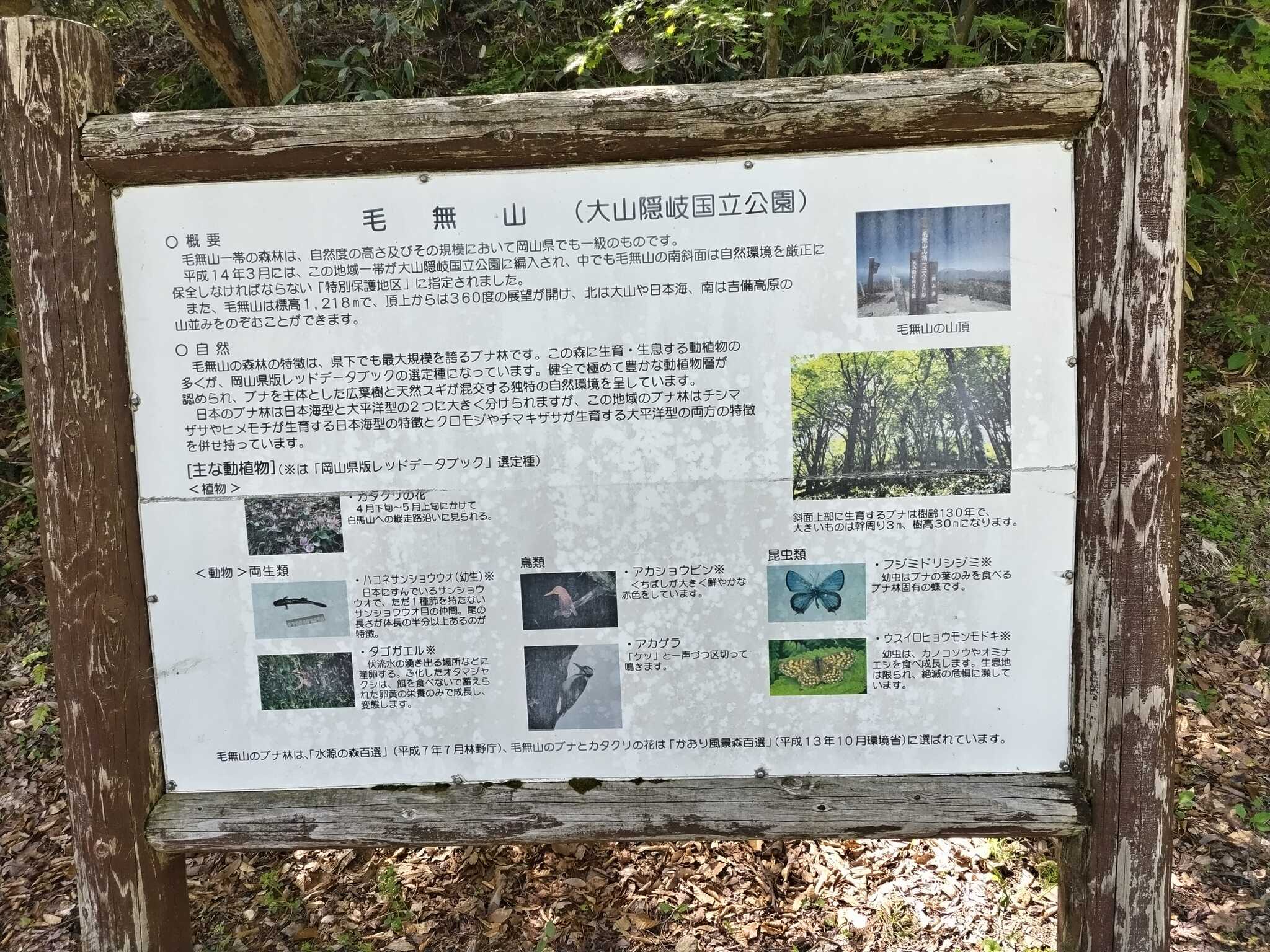 毛無山の案内板