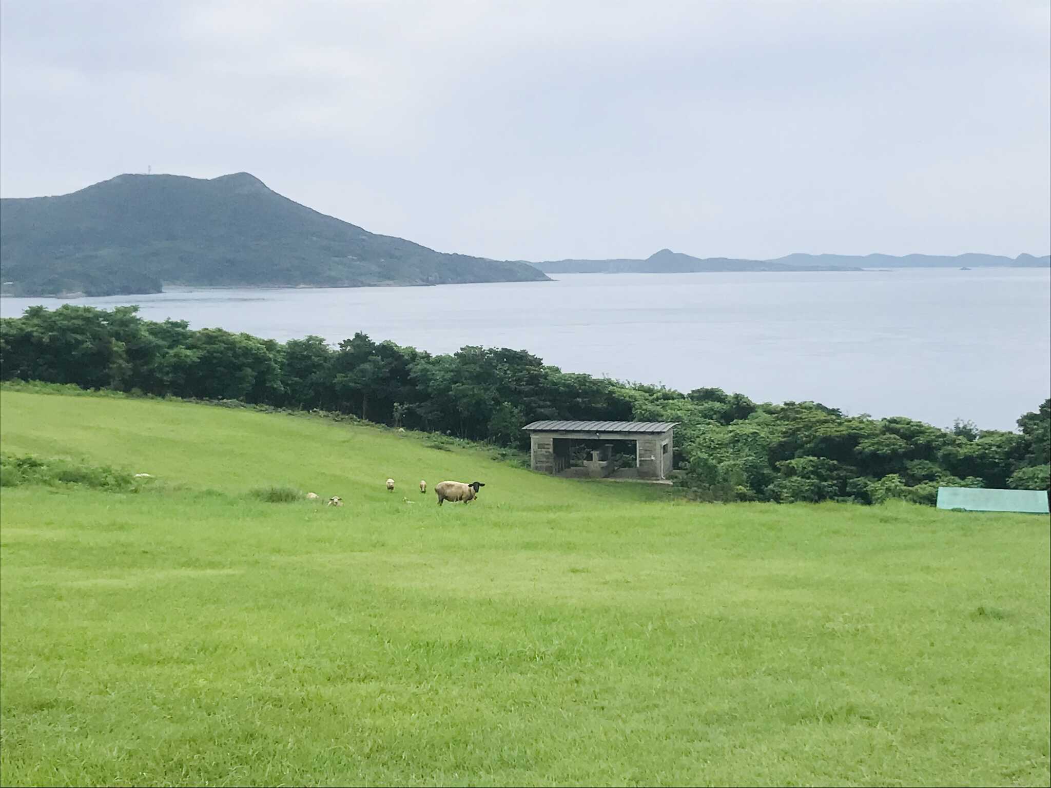 サイトから見える海