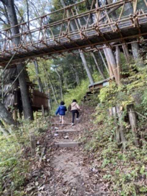 アスレチック