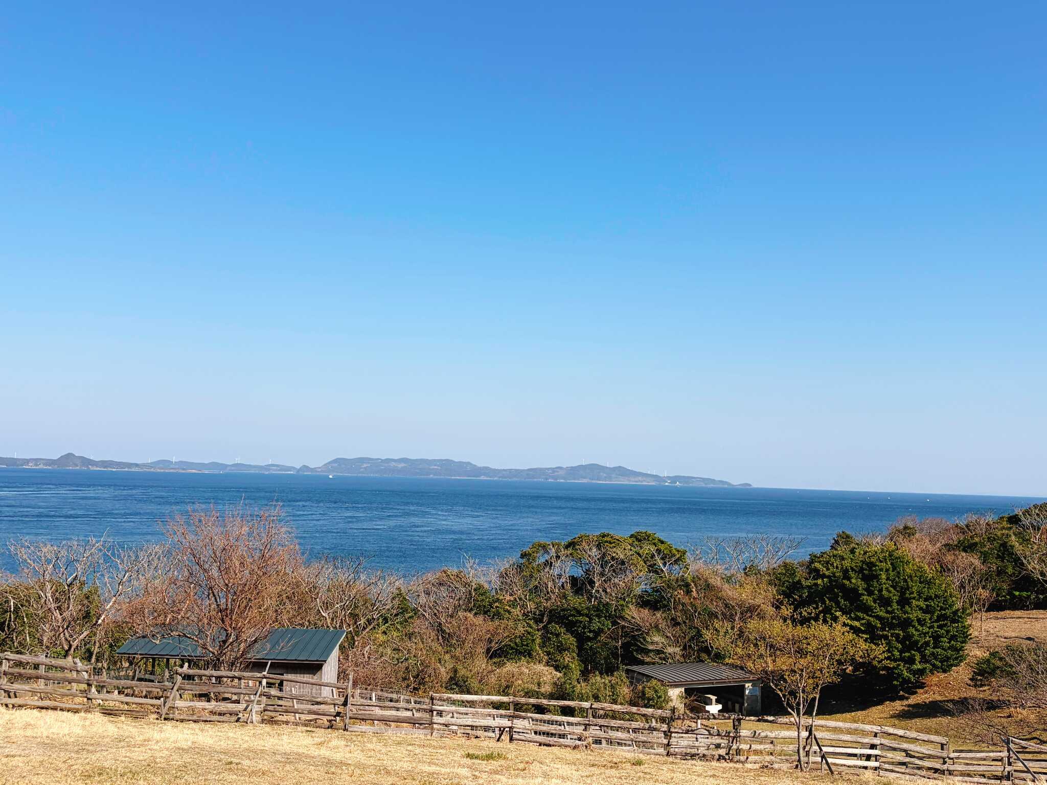 サイトから見える景色
