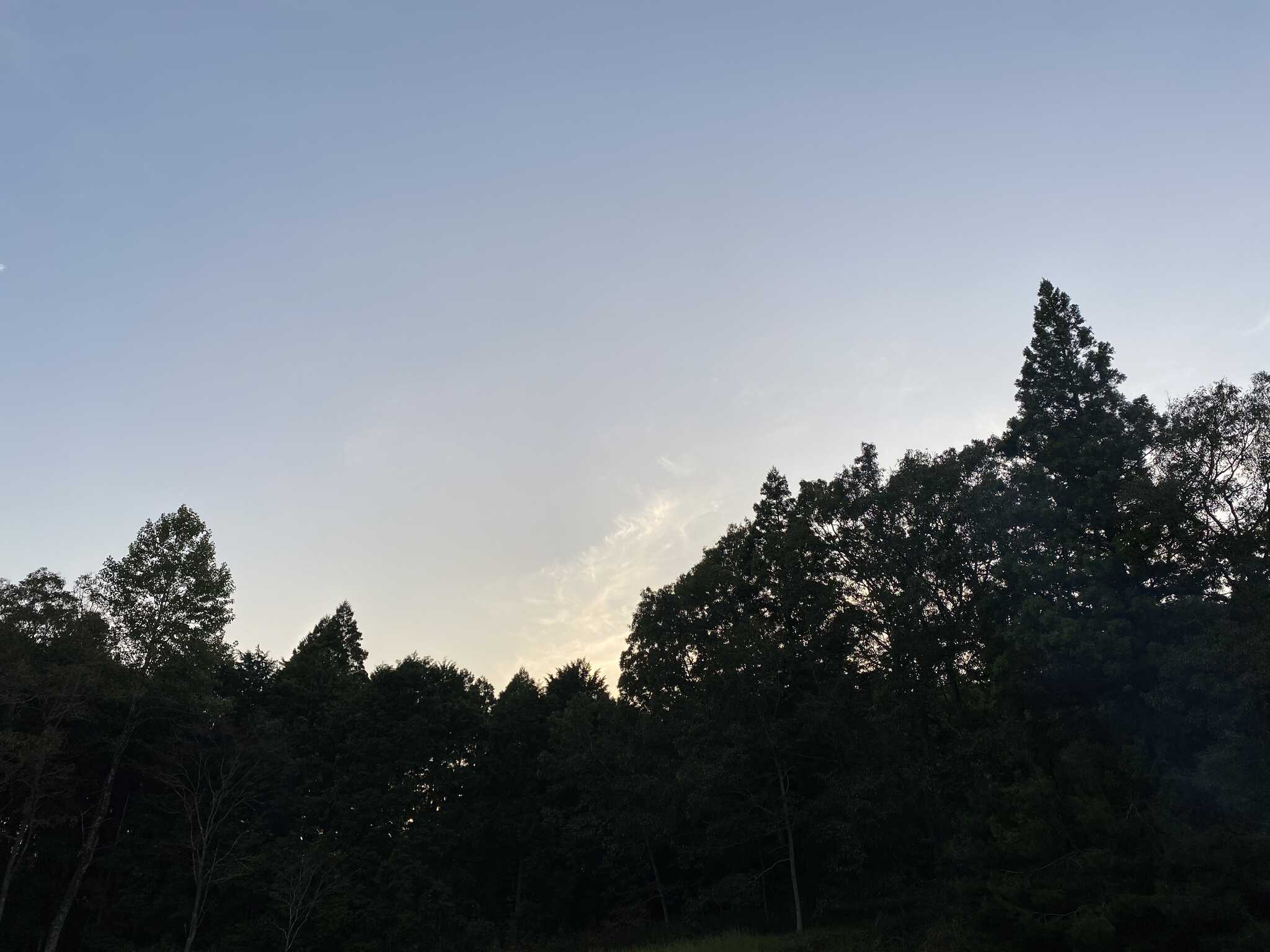 星空がとても綺麗です