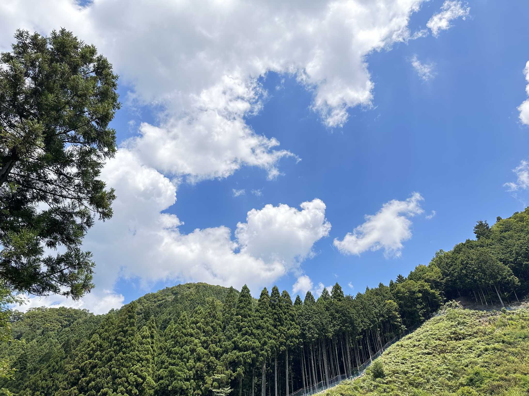 大自然