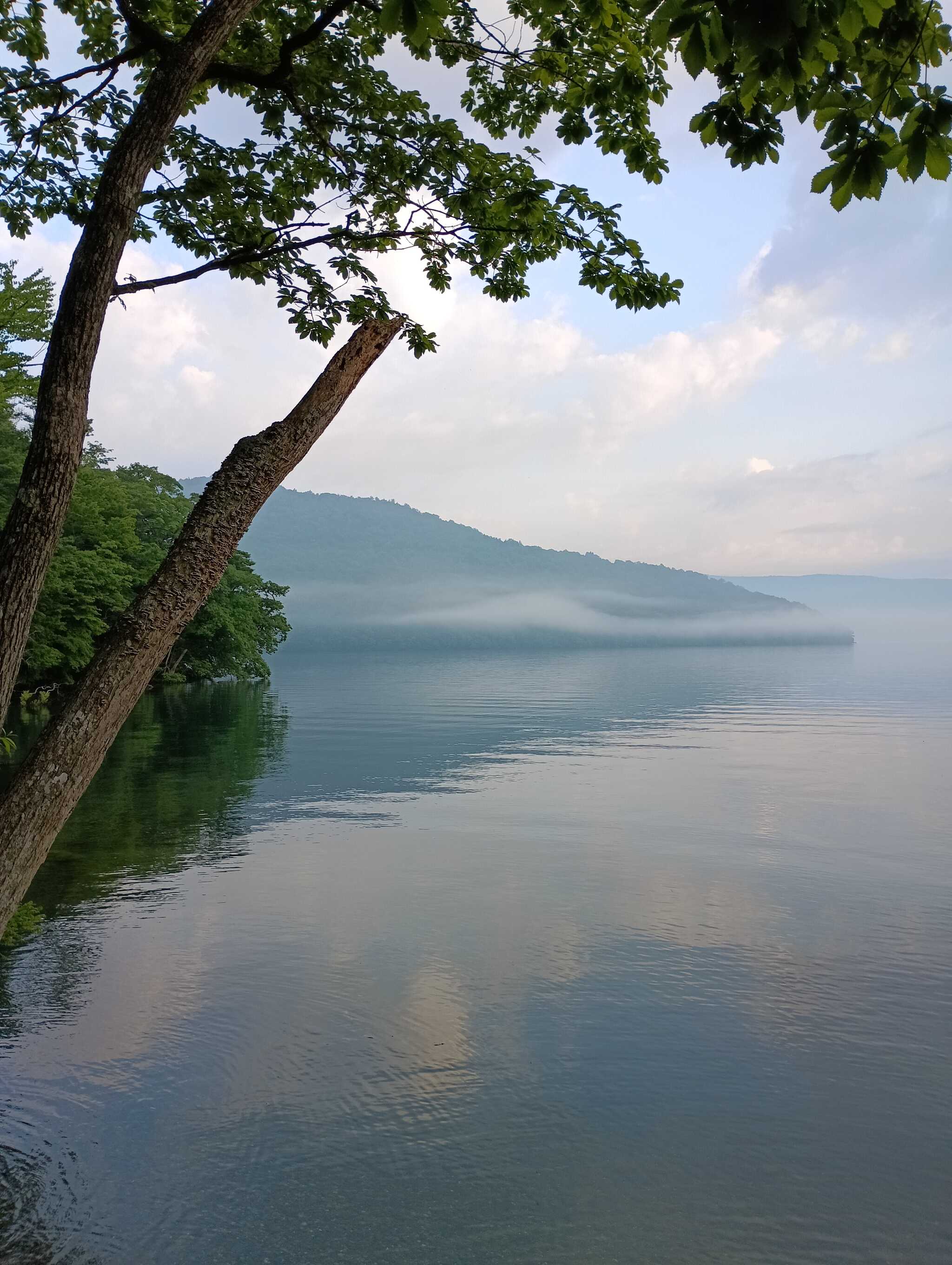 朝霧の十和田湖