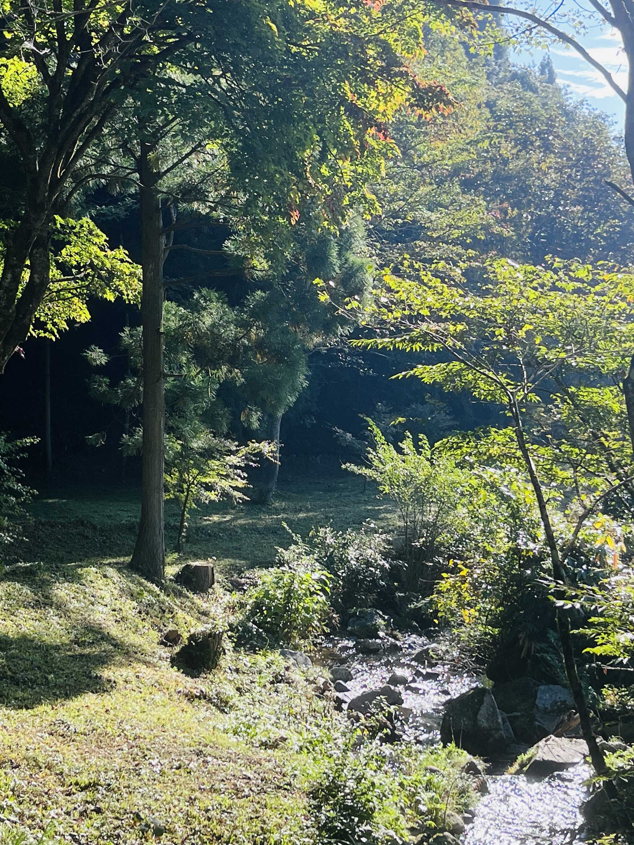 キャンプ場にある小川