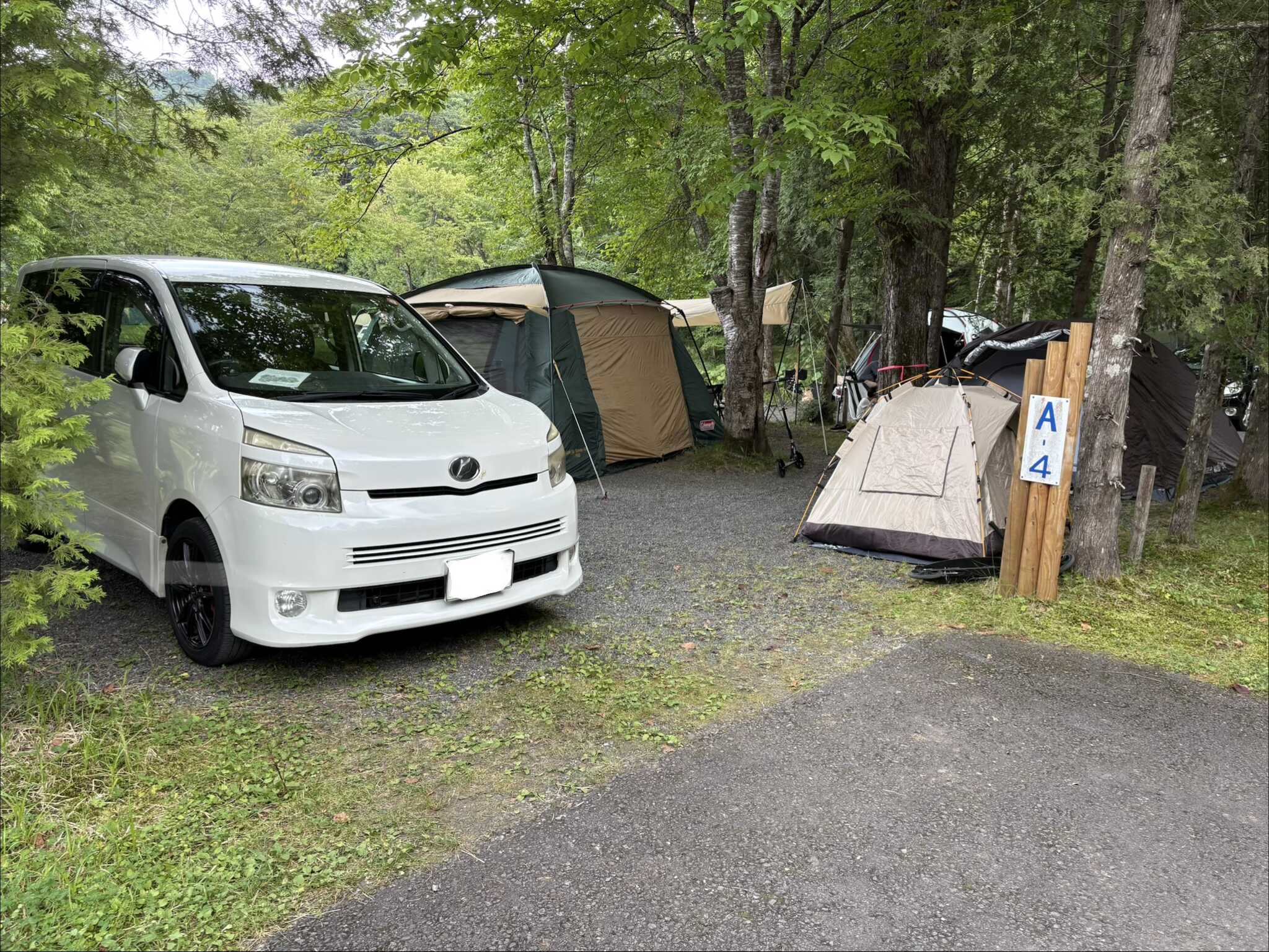 広々としたサイトで最高でした!