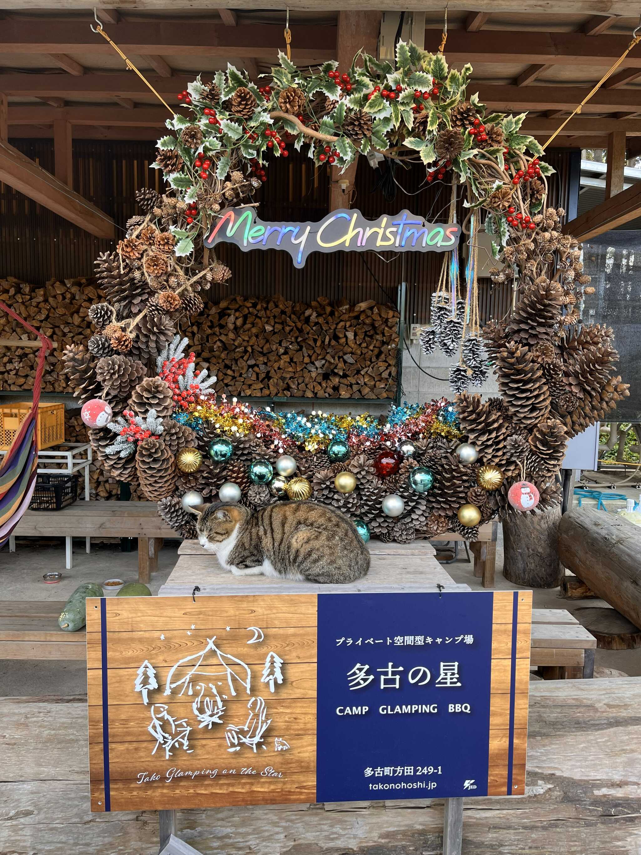 クリスマスリース