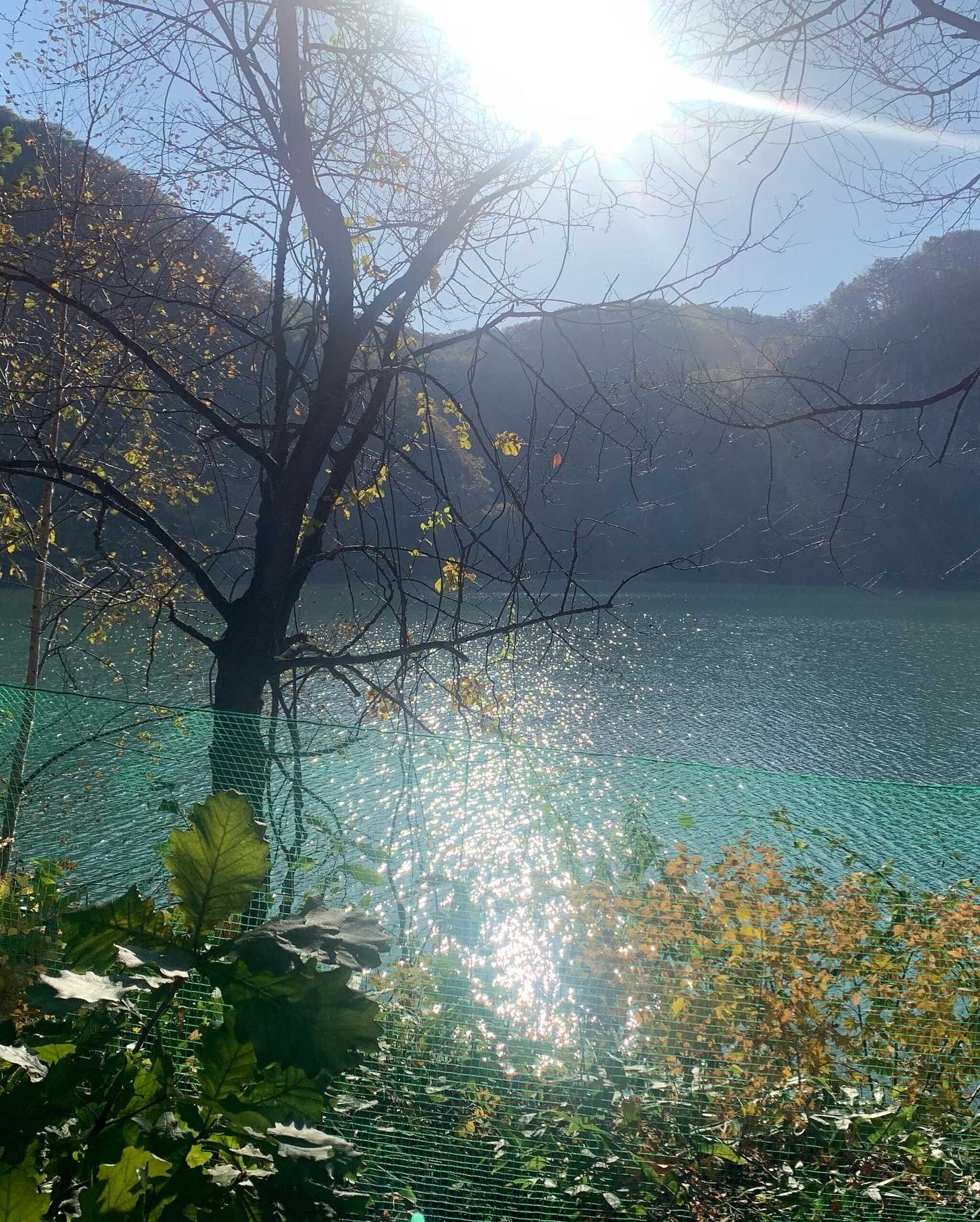 湖の風景