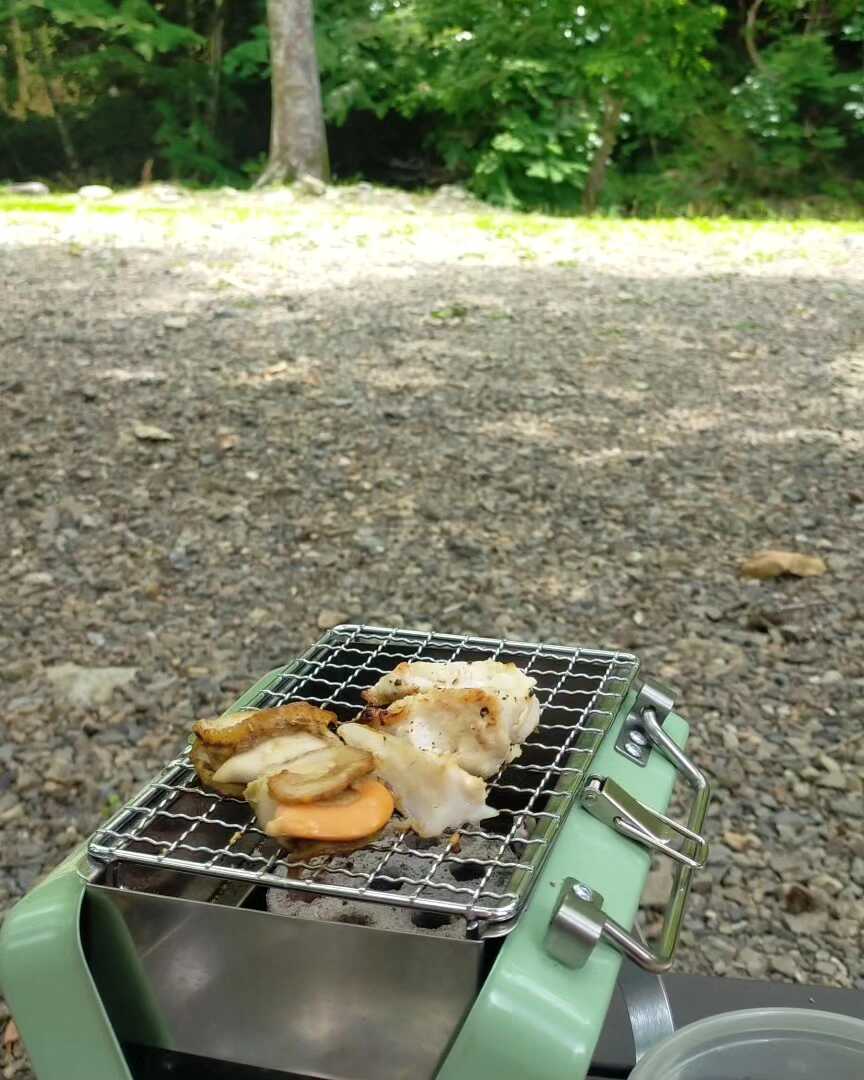 木陰