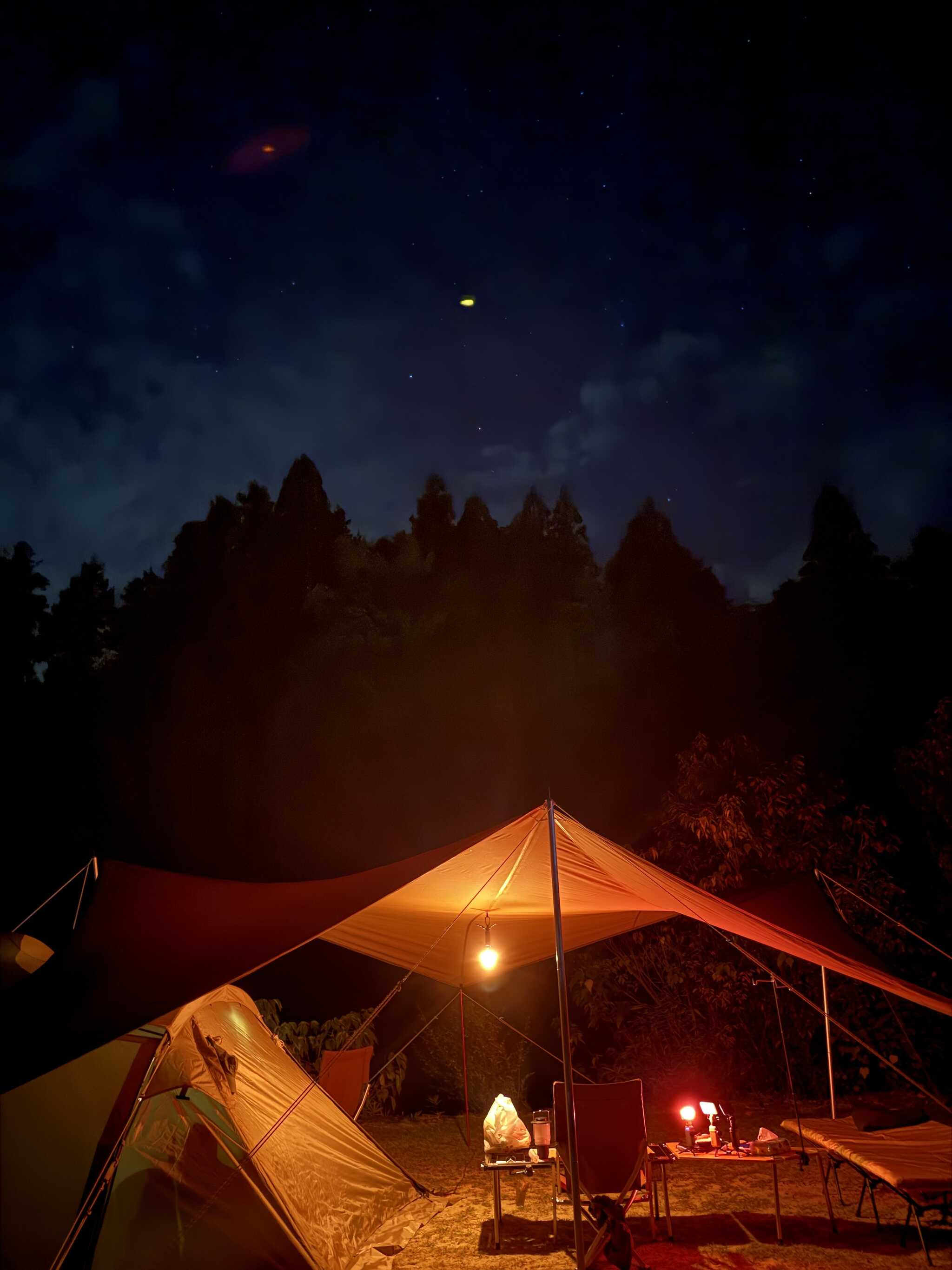 星がキレイでした