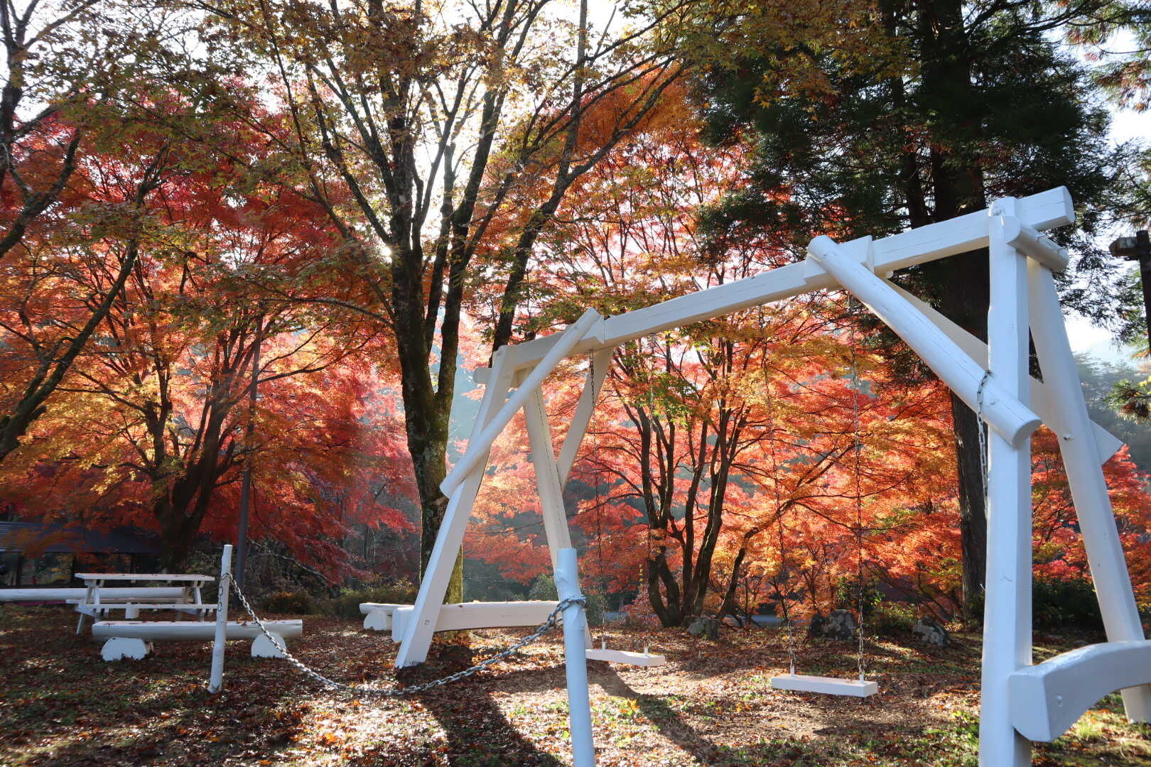 紅葉と白いブランコ