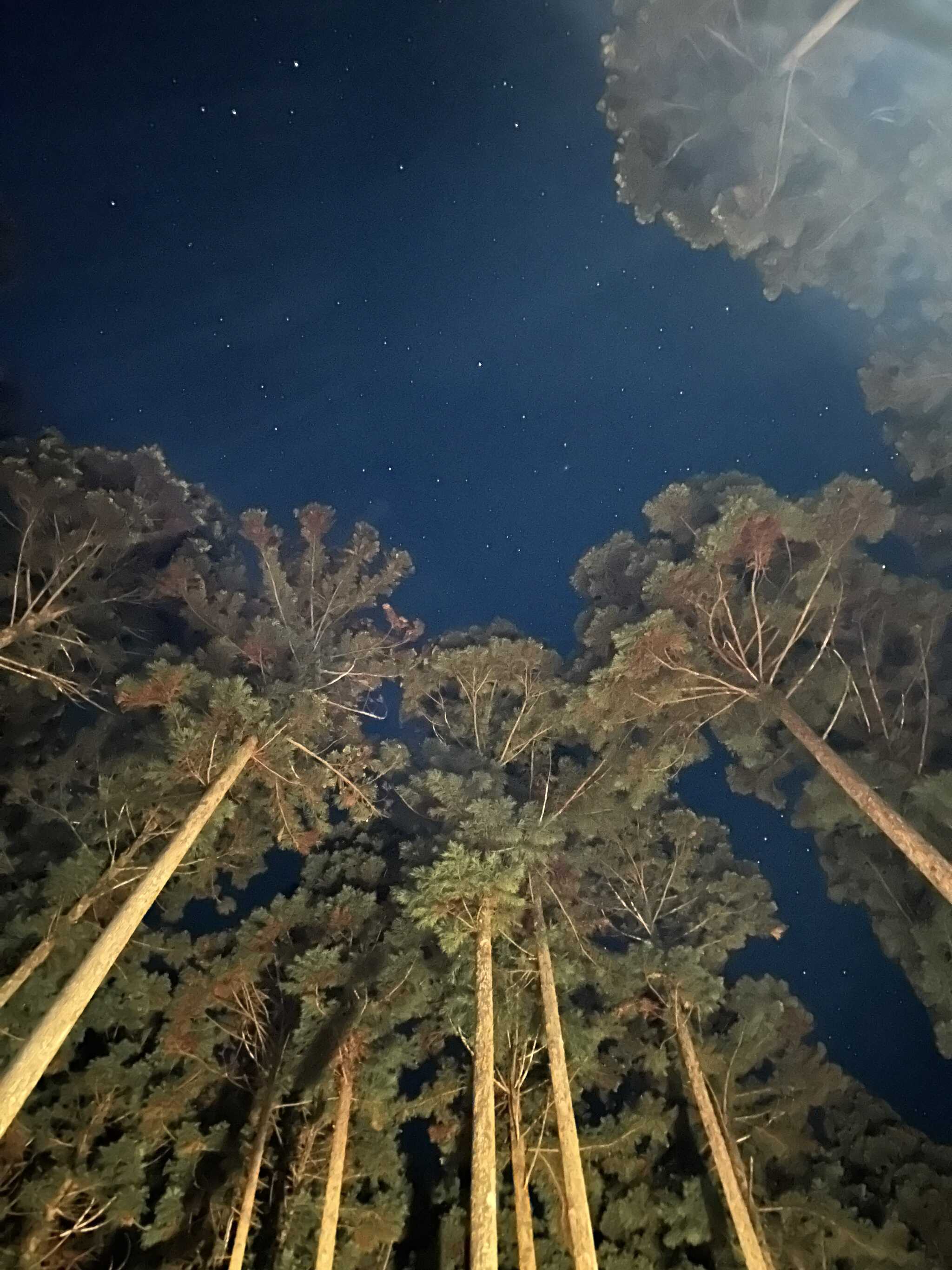 夜空