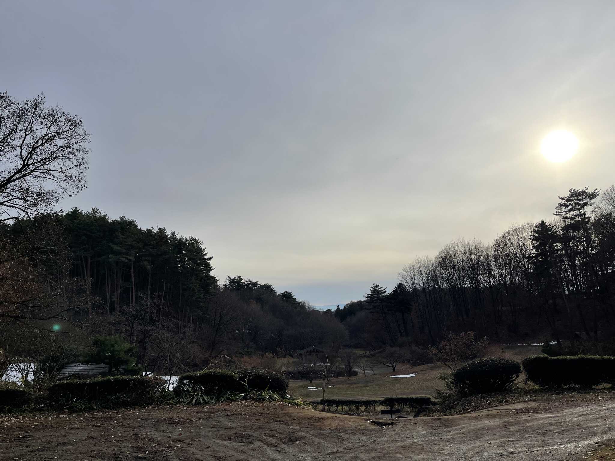 キャンプ場の全景