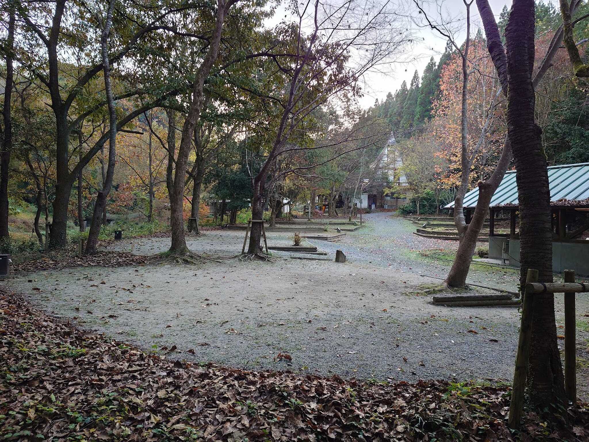 奥のサイトからの風景