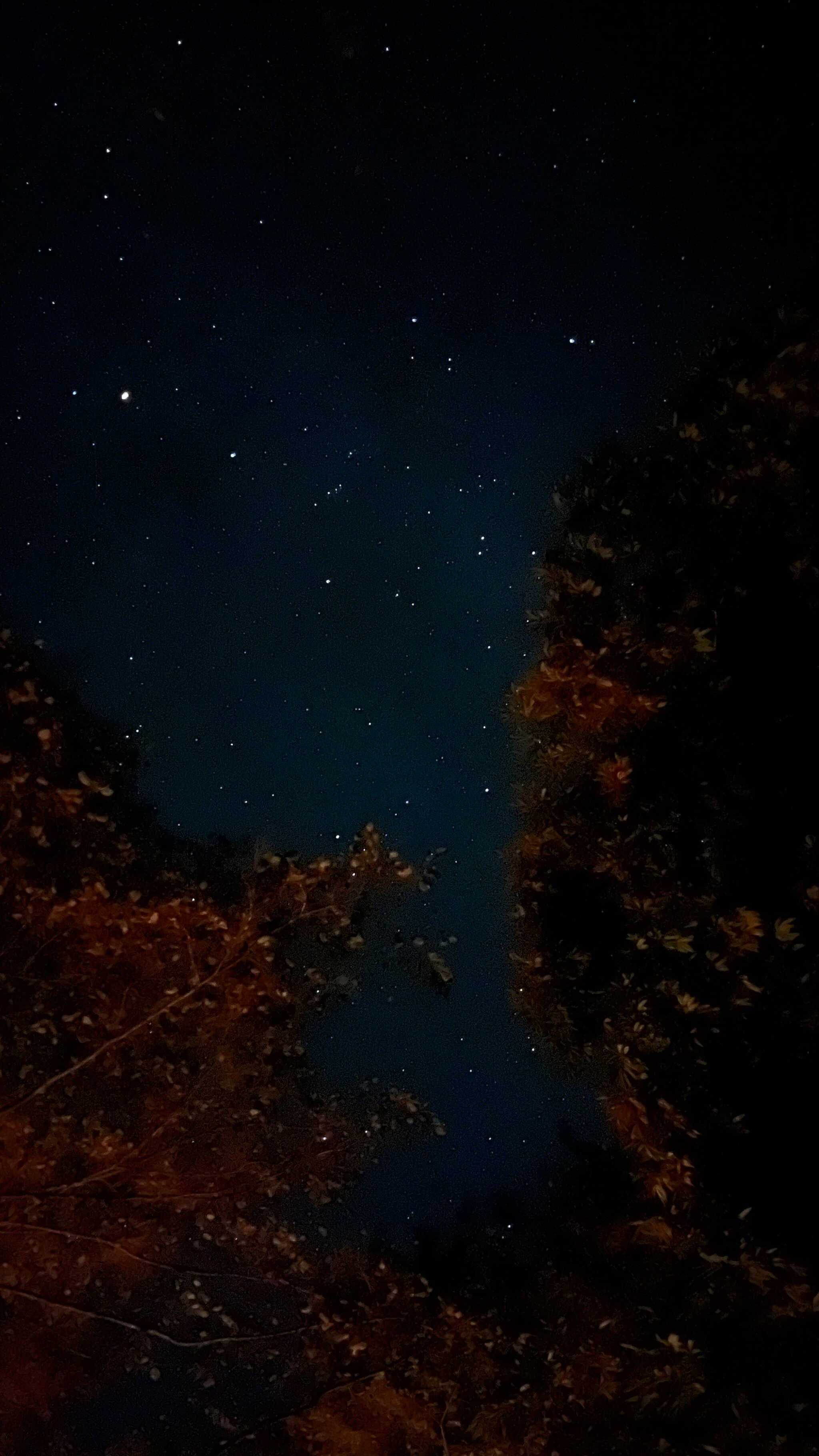 星空