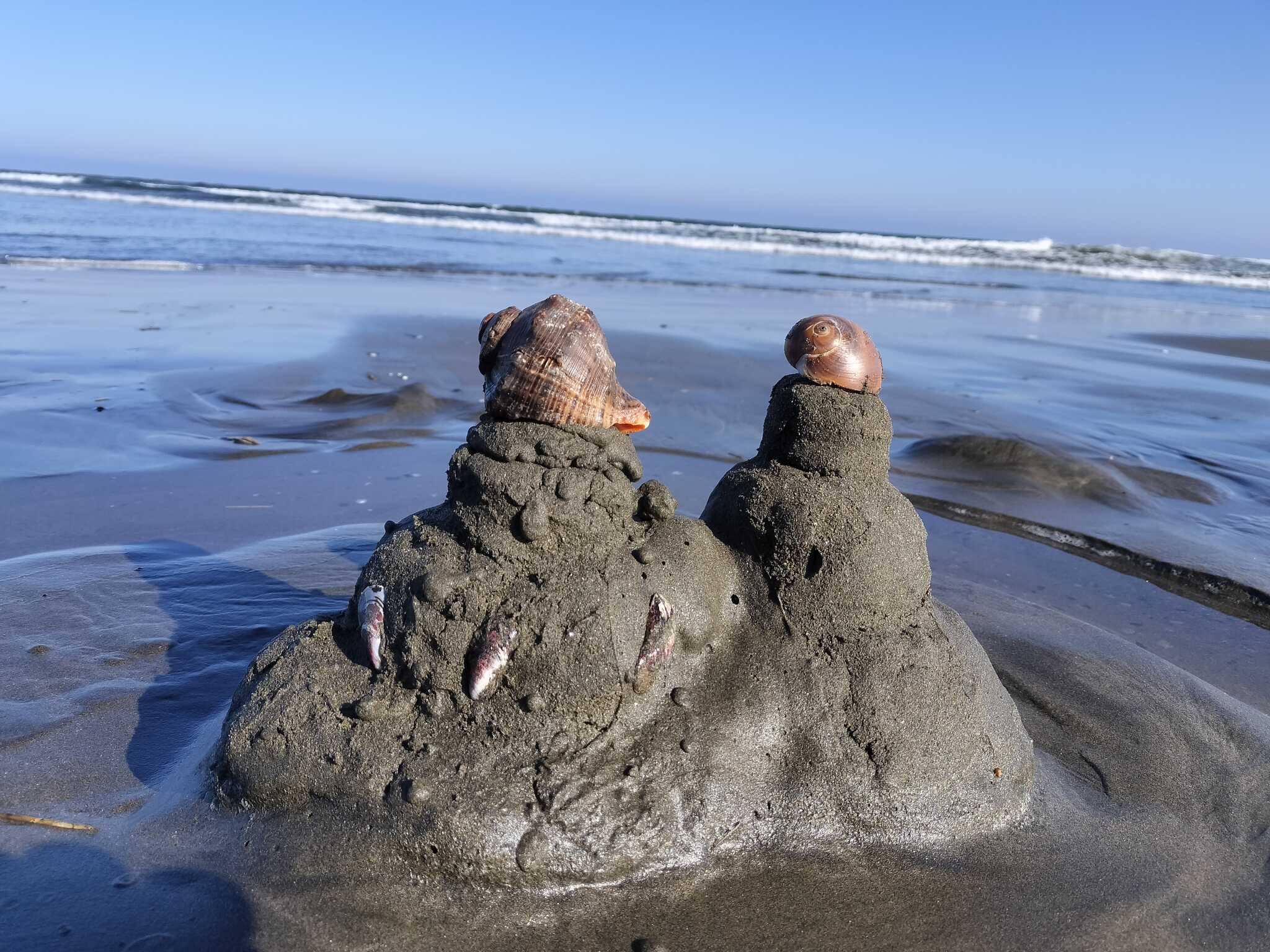 近くの海