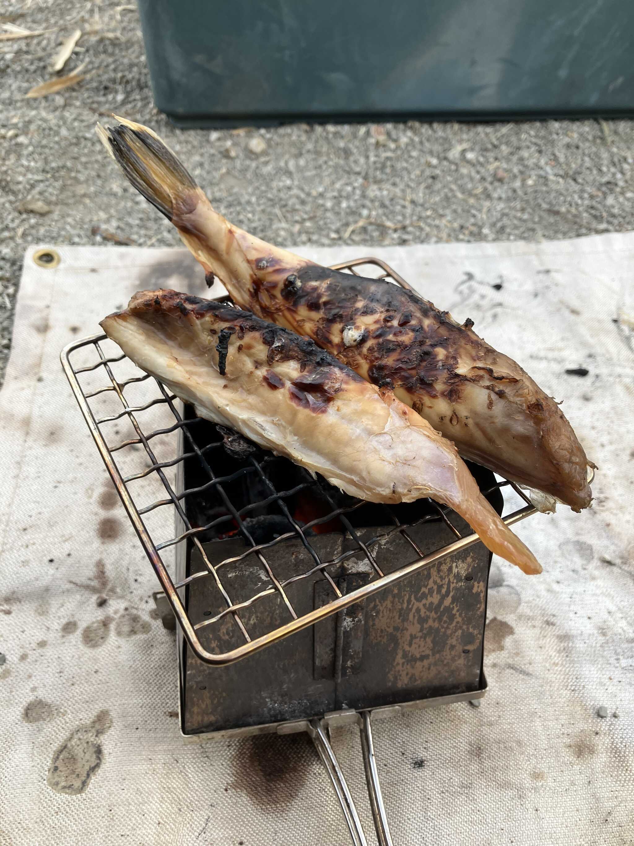 フグの干物